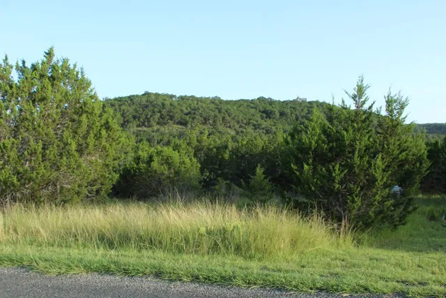 a view of a lake view with a garden