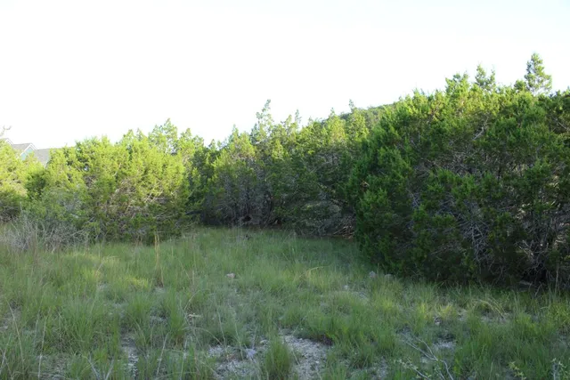 a view of a garden with a lake