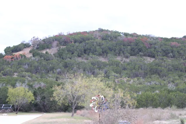 a view of a house with a mountain and a forest