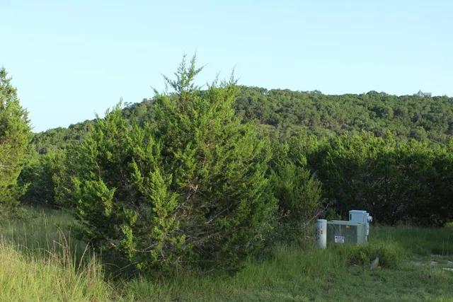 a view of a big yard with plants and a bench