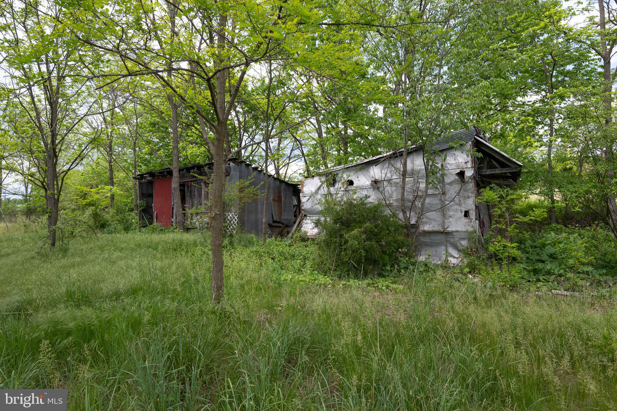 5143 South Middle Road Mount Jackson, VA 22842 - Photo 25 of 42 a backyard of a house with plants and large tree