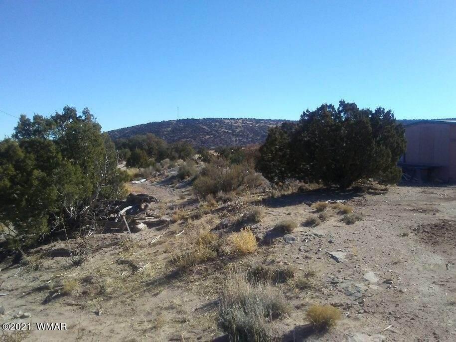 4596 El Dorado Road Snowflake, AZ 85937 - Photo 10 of 32 53243