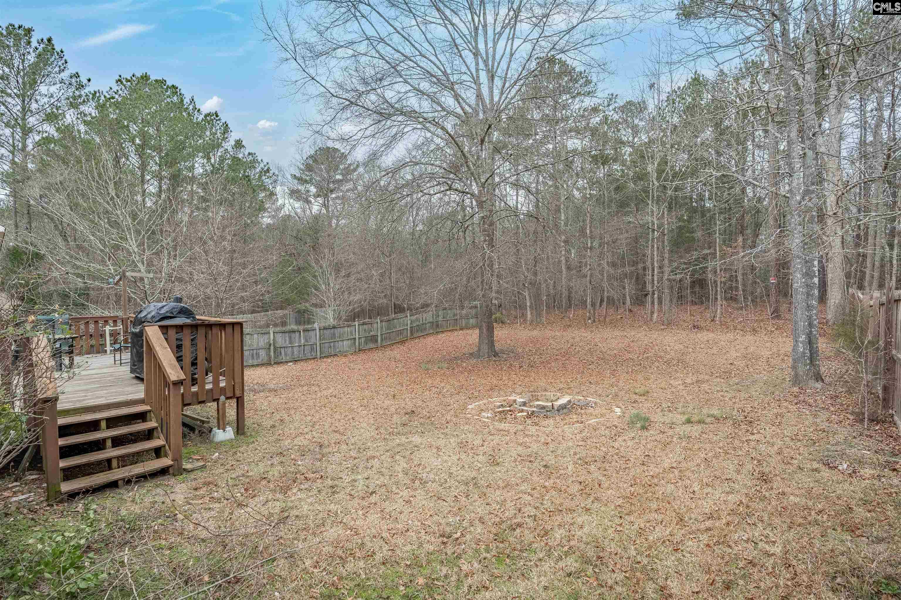 321 Concord Pl Road Irmo, SC 29063 - Photo 10 of 25