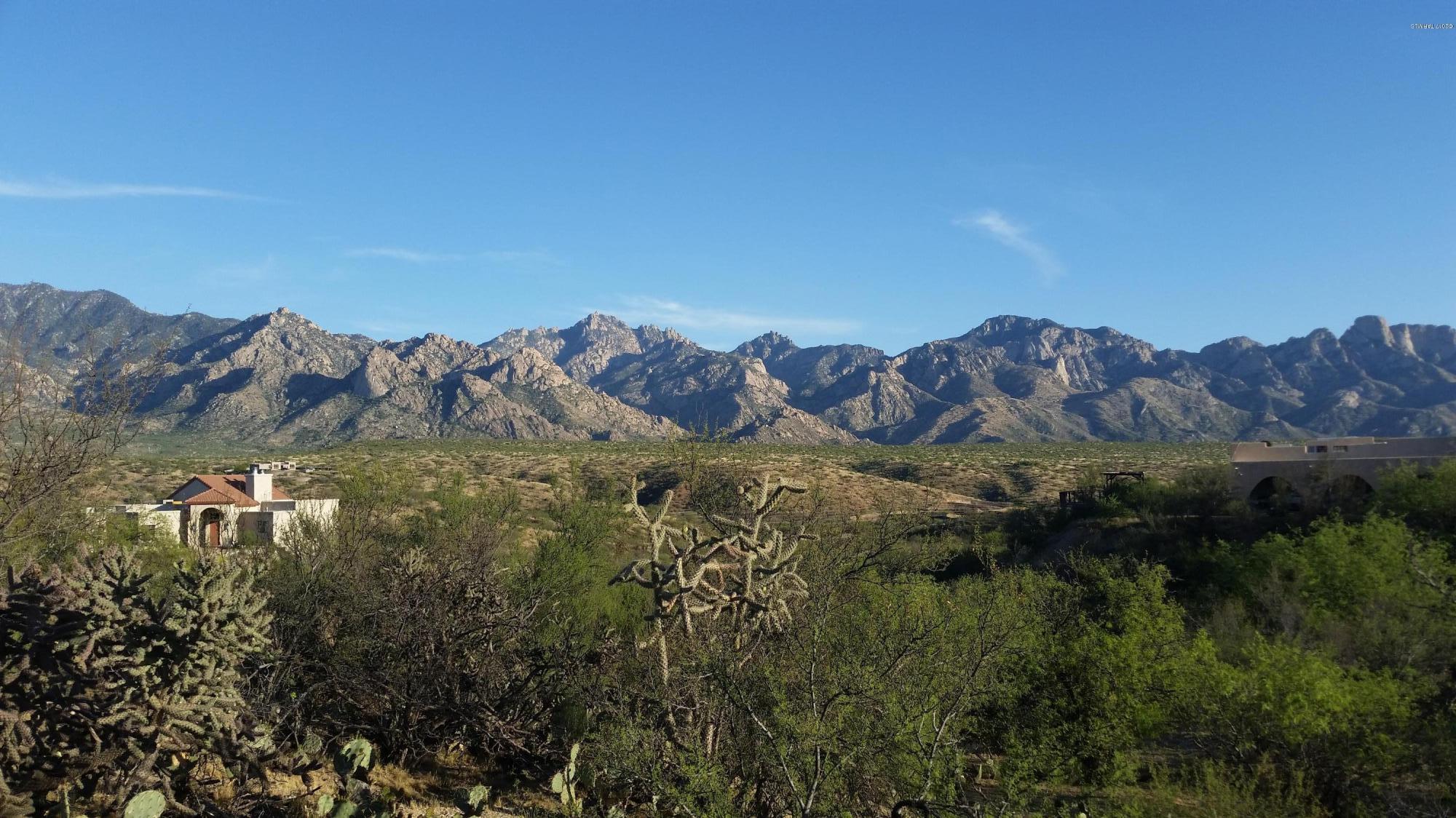 14320 North Bowman Road Tucson, AZ 85739 - Photo 3 of 3 Gallery Image 3