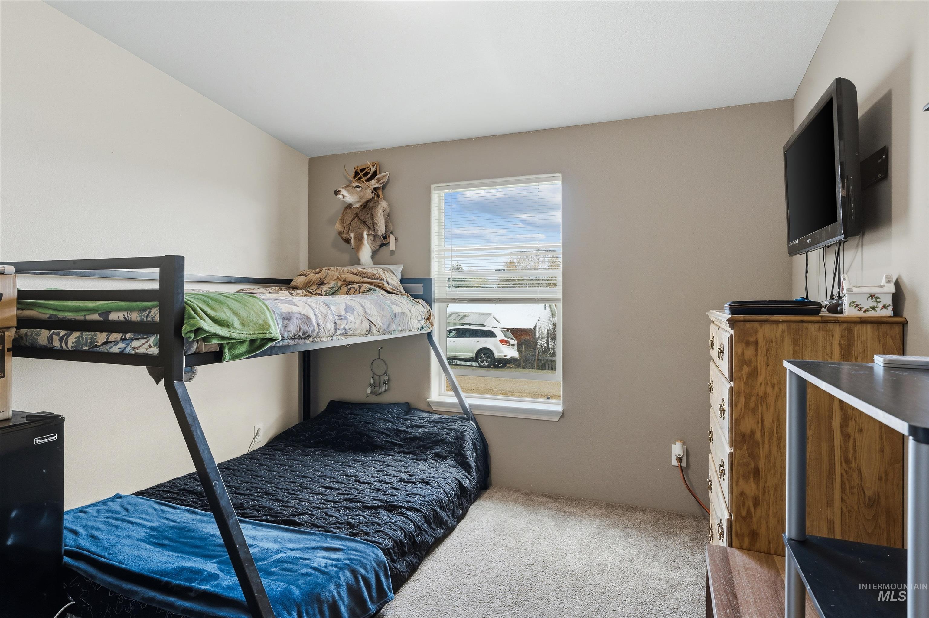 302 3rd Avenue Craigmont, ID 83523 - Photo 17 of 31 Neutral-toned walls complement the carpeted flooring