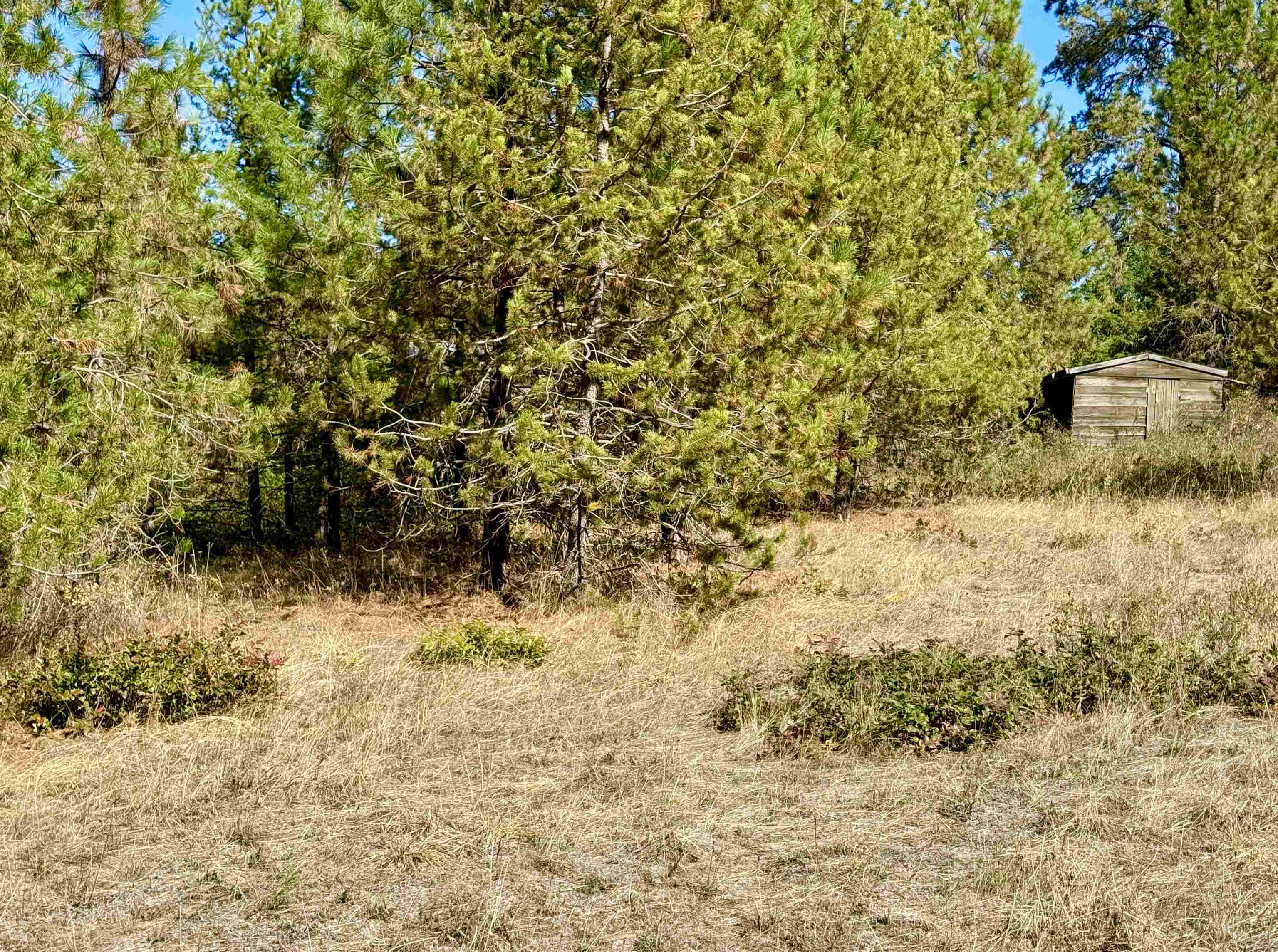 3961 Highway 231 Springdale, WA 99173 - Photo 11 of 46