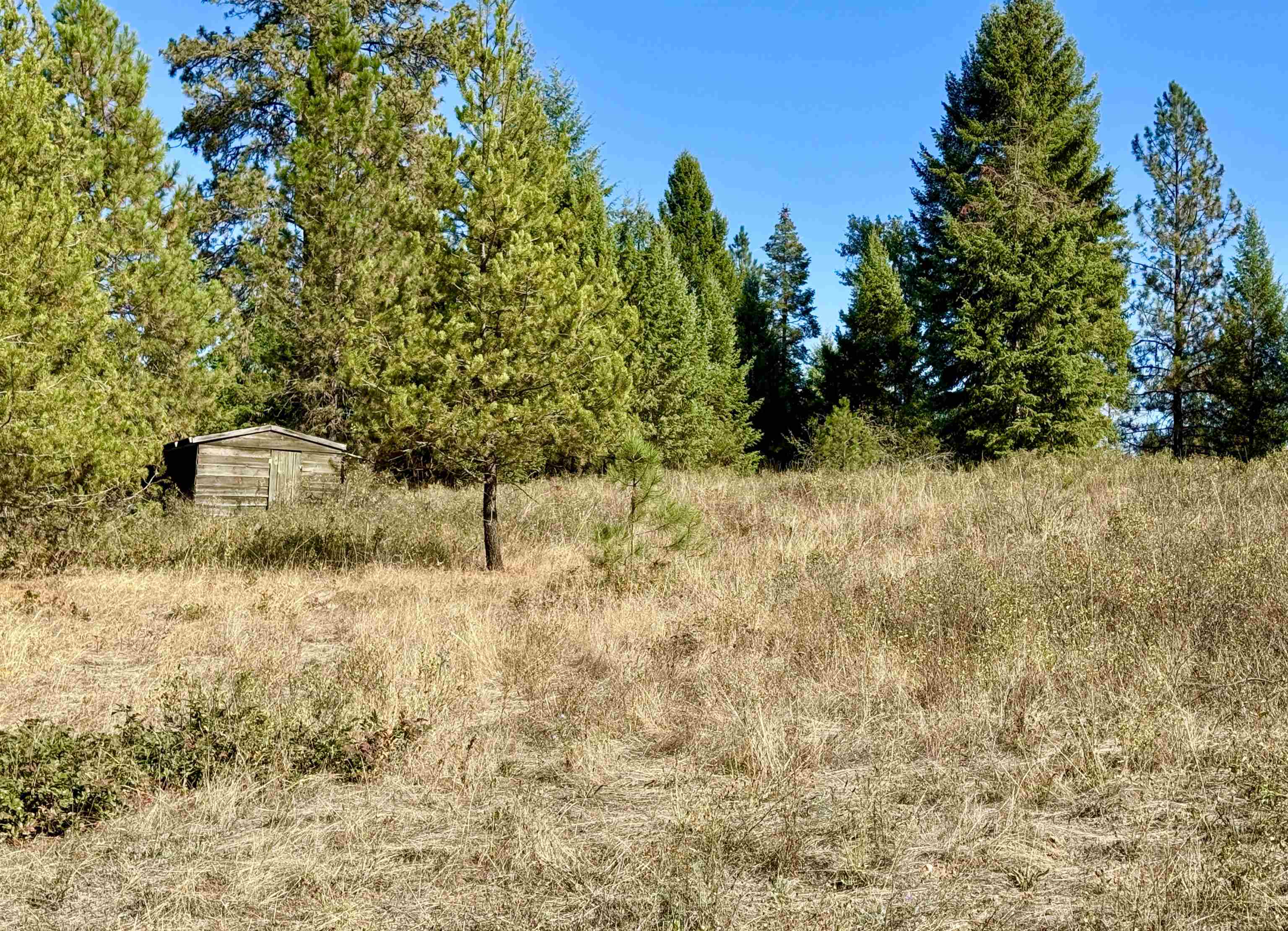 3961 Highway 231 Springdale, WA 99173 - Photo 12 of 46