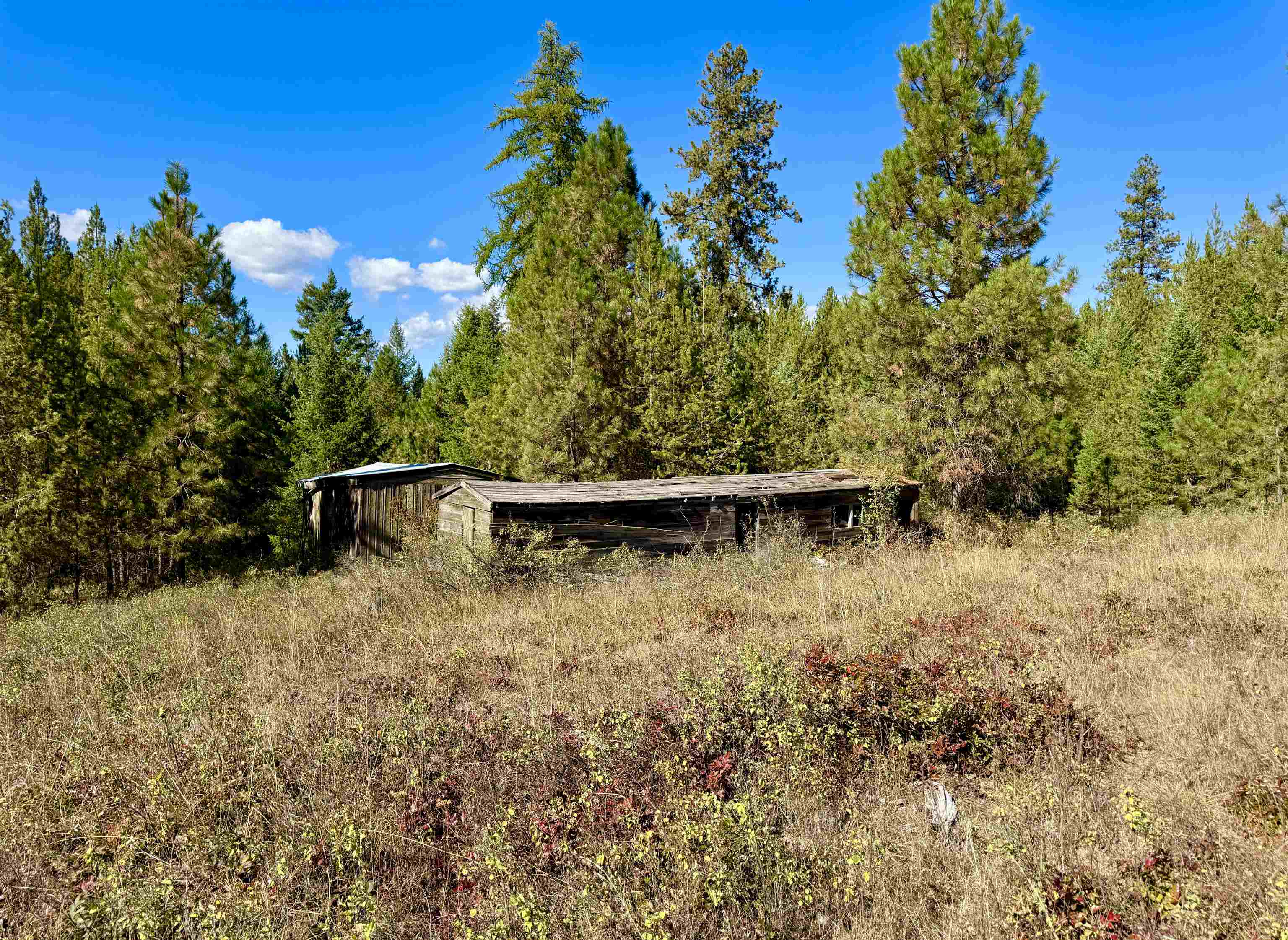 3961 Highway 231 Springdale, WA 99173 - Photo 15 of 46