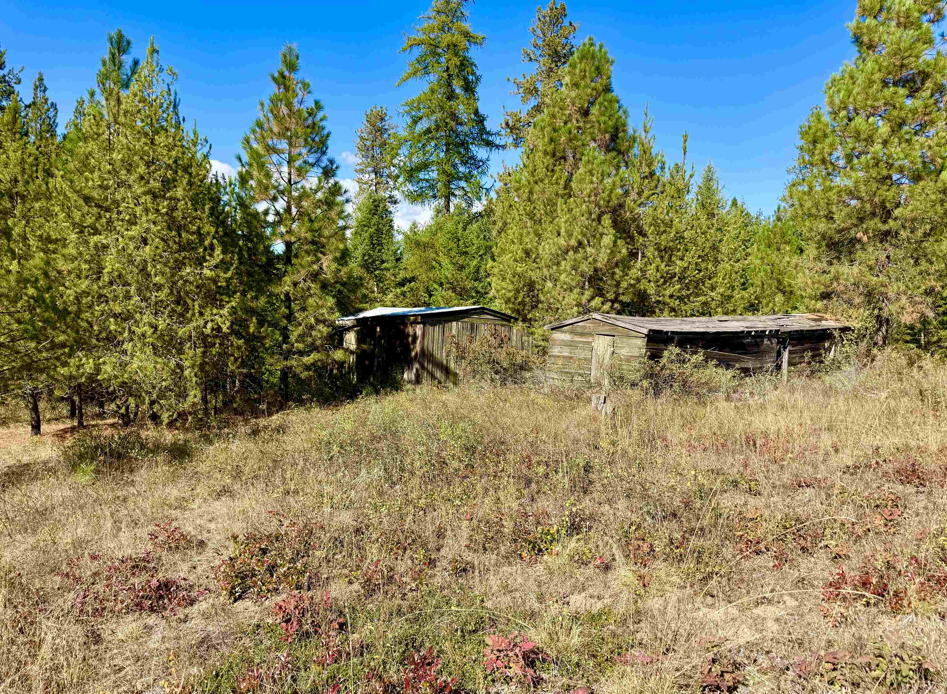 3961 Highway 231 Springdale, WA 99173 - Photo 16 of 46