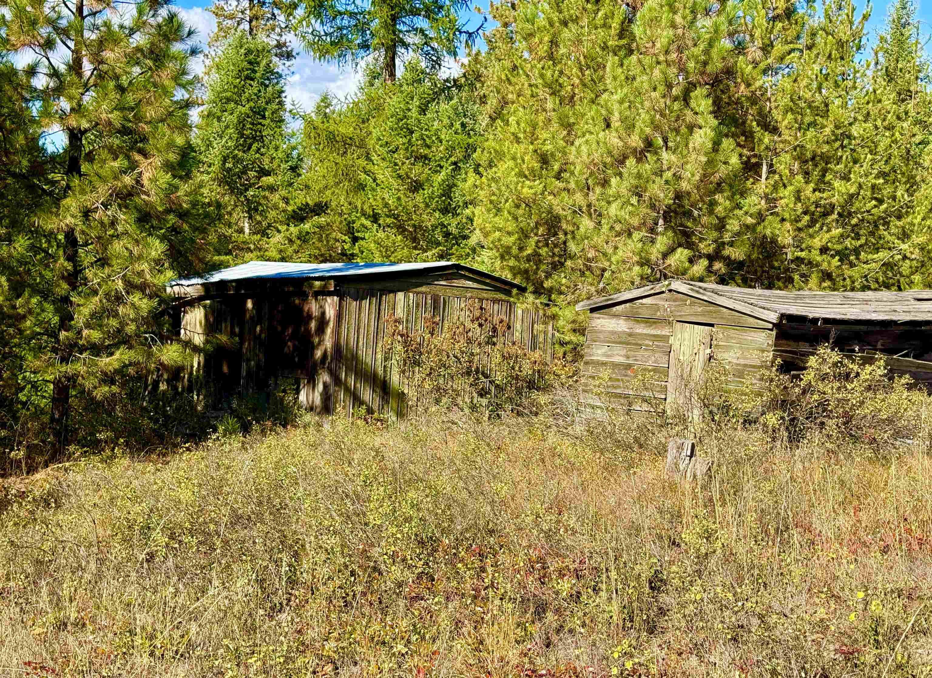 3961 Highway 231 Springdale, WA 99173 - Photo 17 of 46