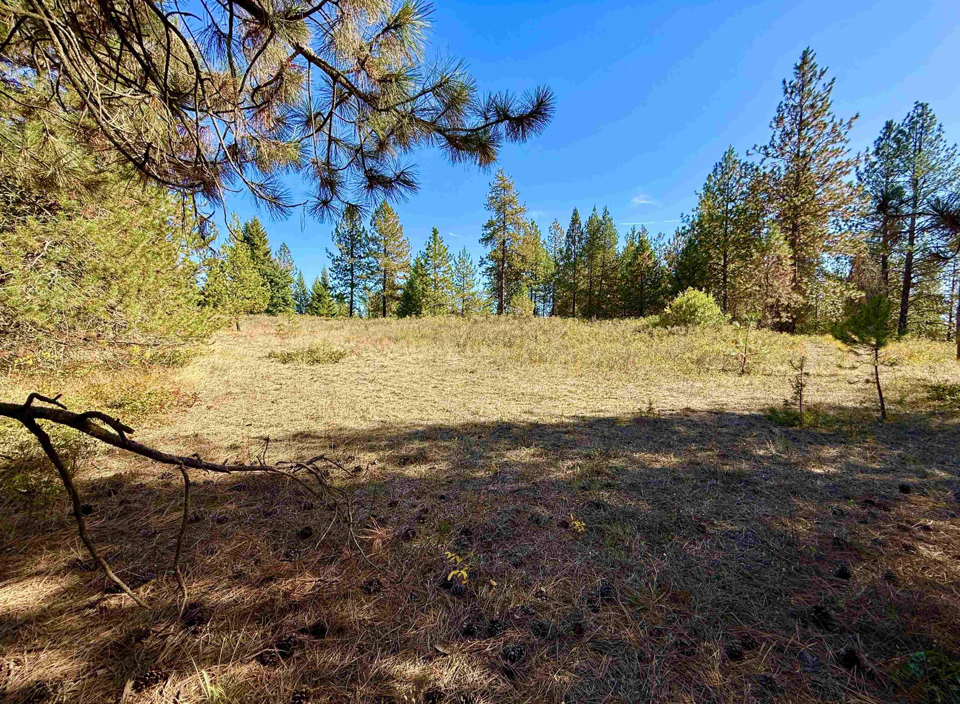 3961 Highway 231 Springdale, WA 99173 - Photo 20 of 46