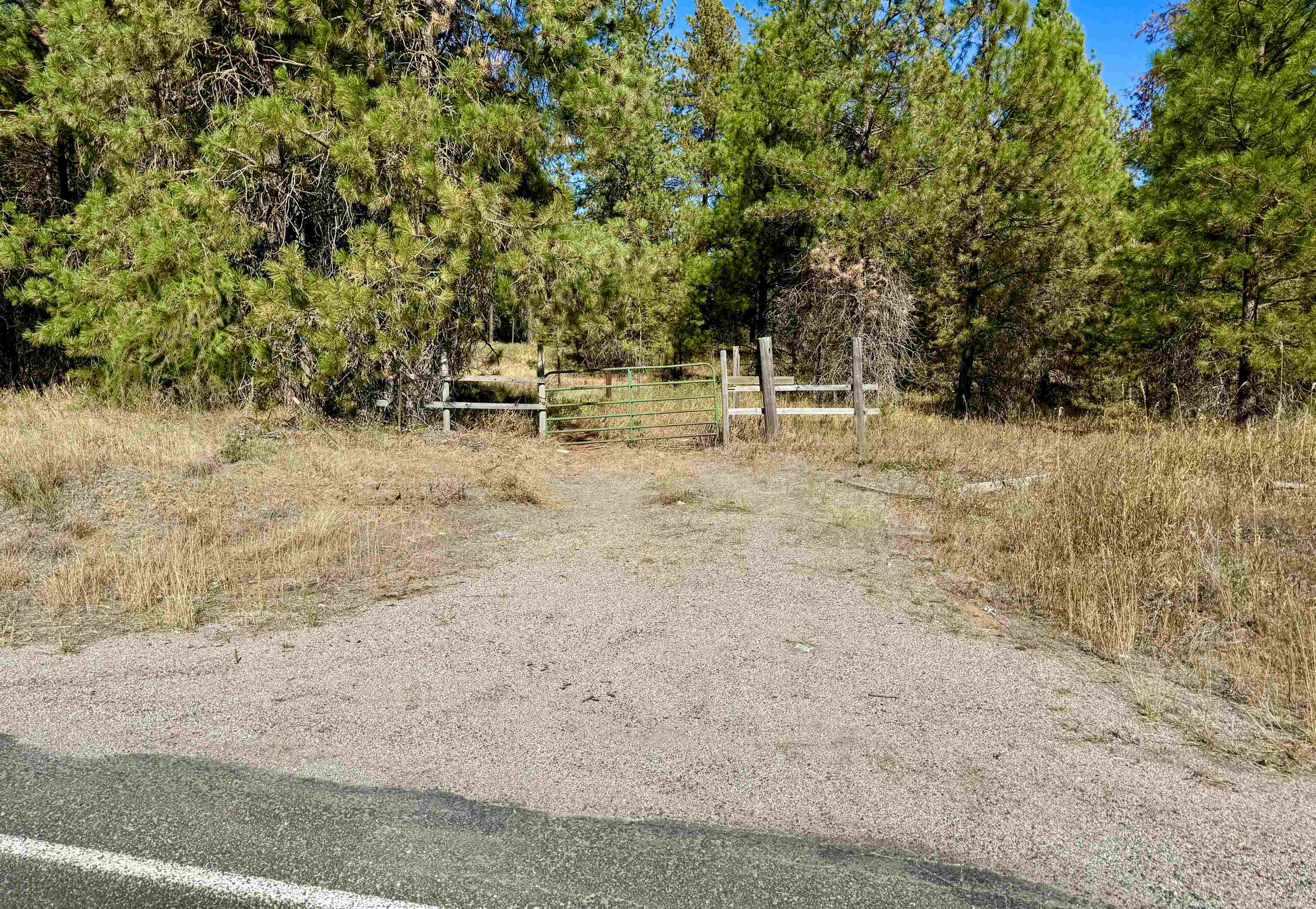 3961 Highway 231 Springdale, WA 99173 - Photo 2 of 46