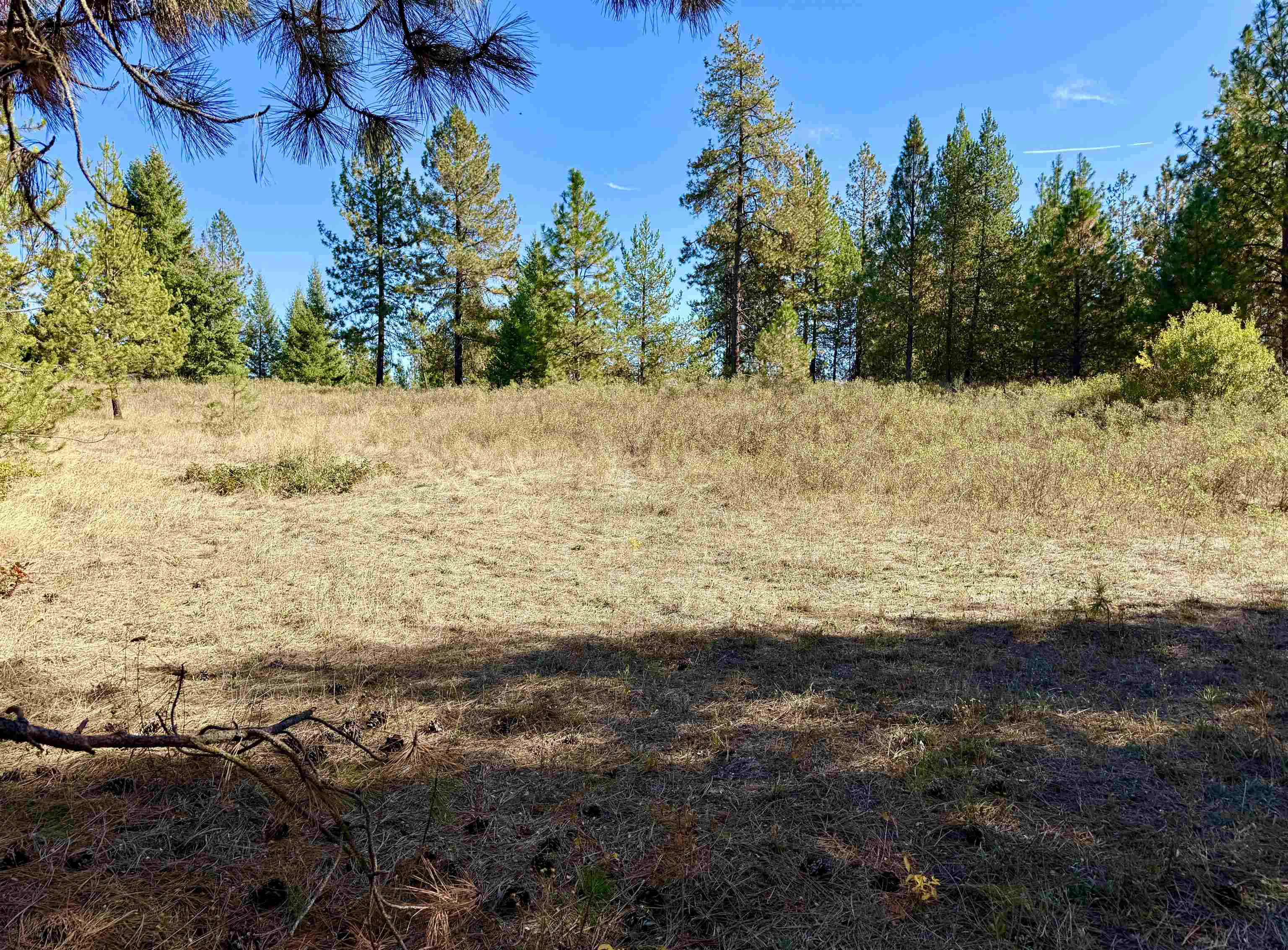 3961 Highway 231 Springdale, WA 99173 - Photo 21 of 46