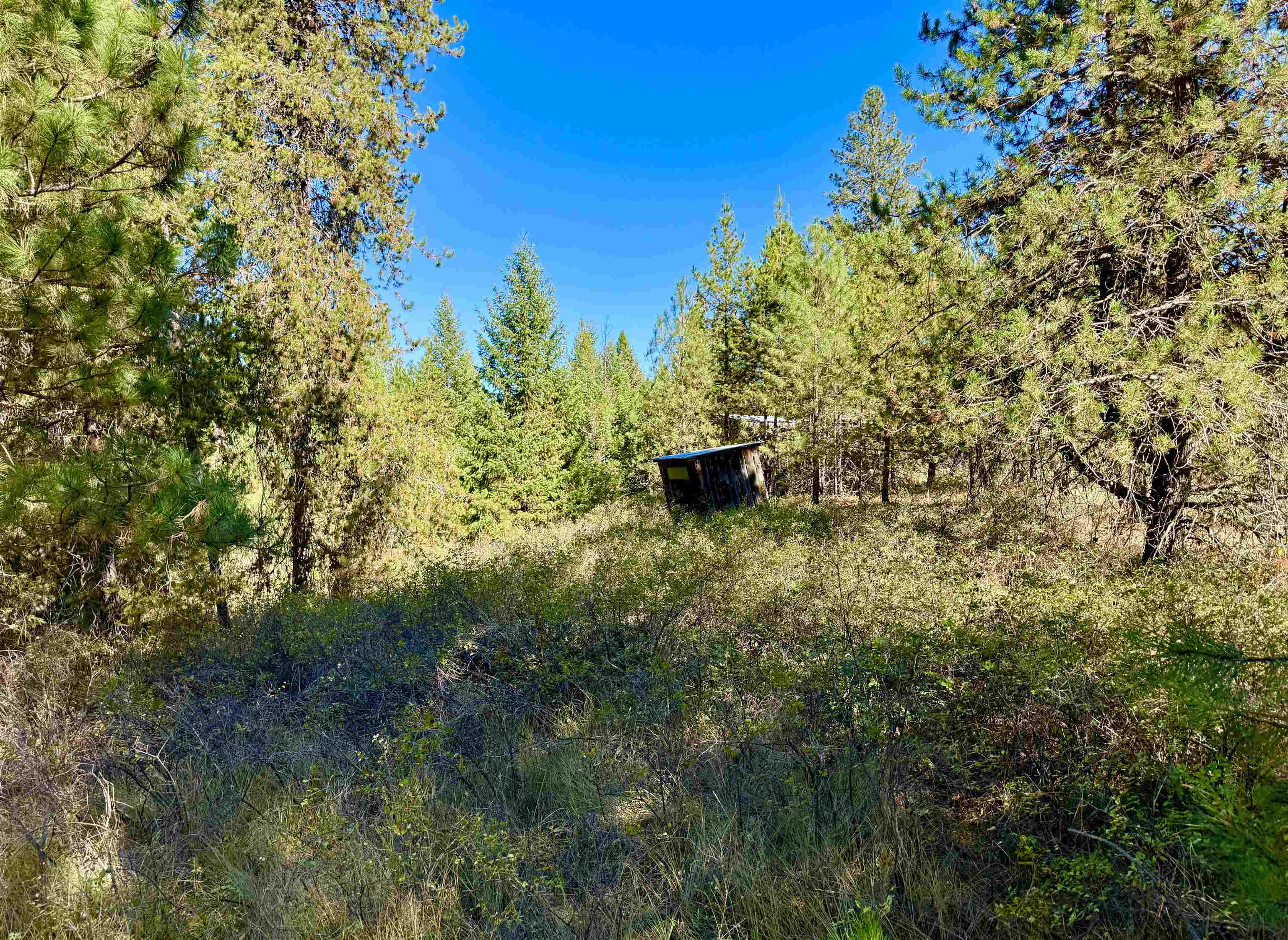 3961 Highway 231 Springdale, WA 99173 - Photo 32 of 46