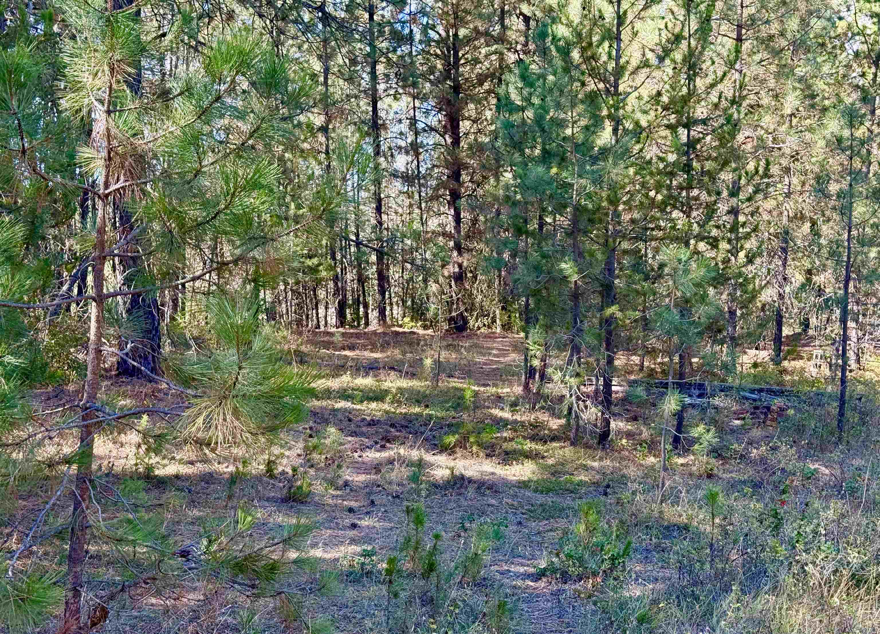 3961 Highway 231 Springdale, WA 99173 - Photo 35 of 46