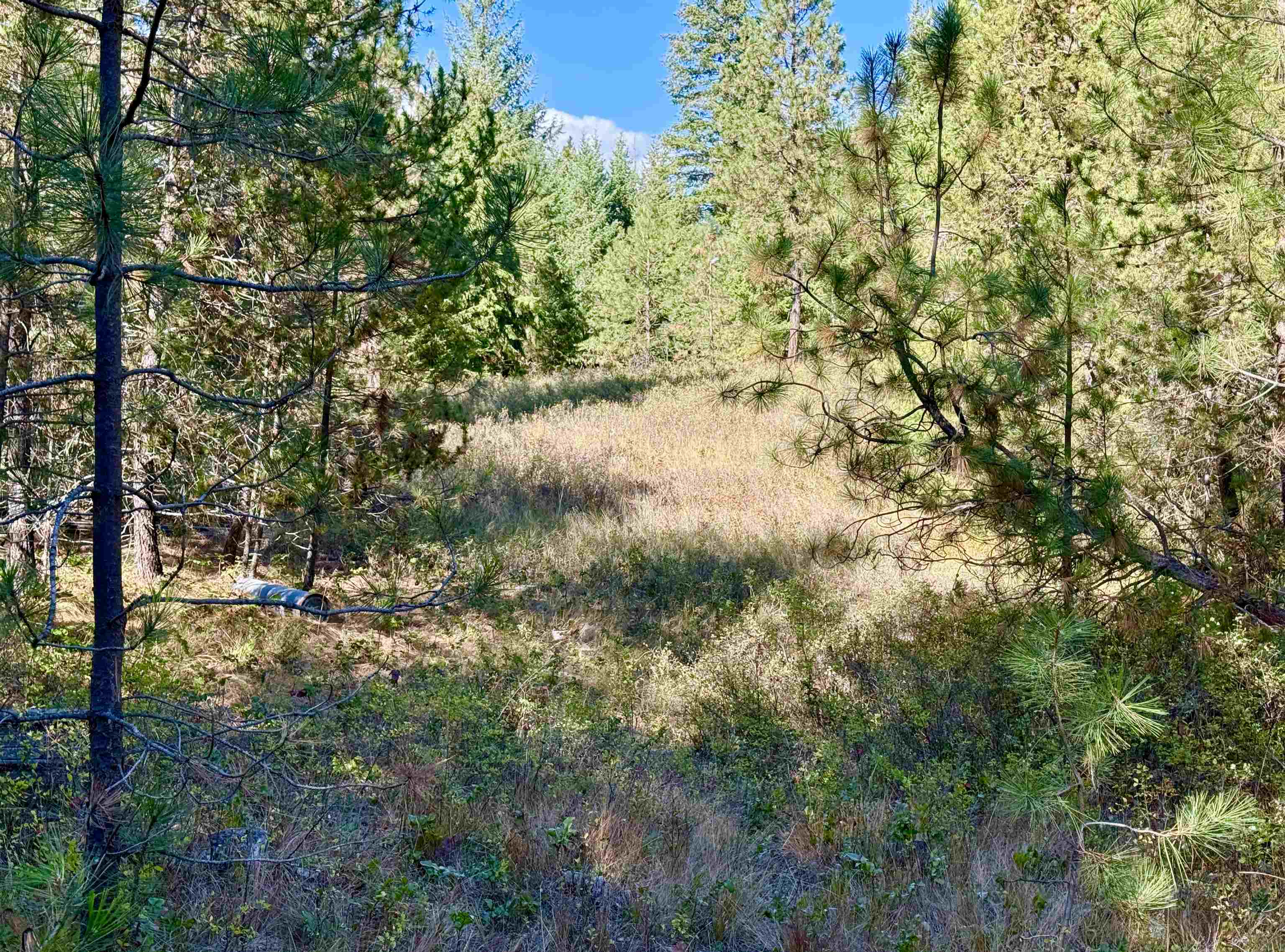 3961 Highway 231 Springdale, WA 99173 - Photo 36 of 46