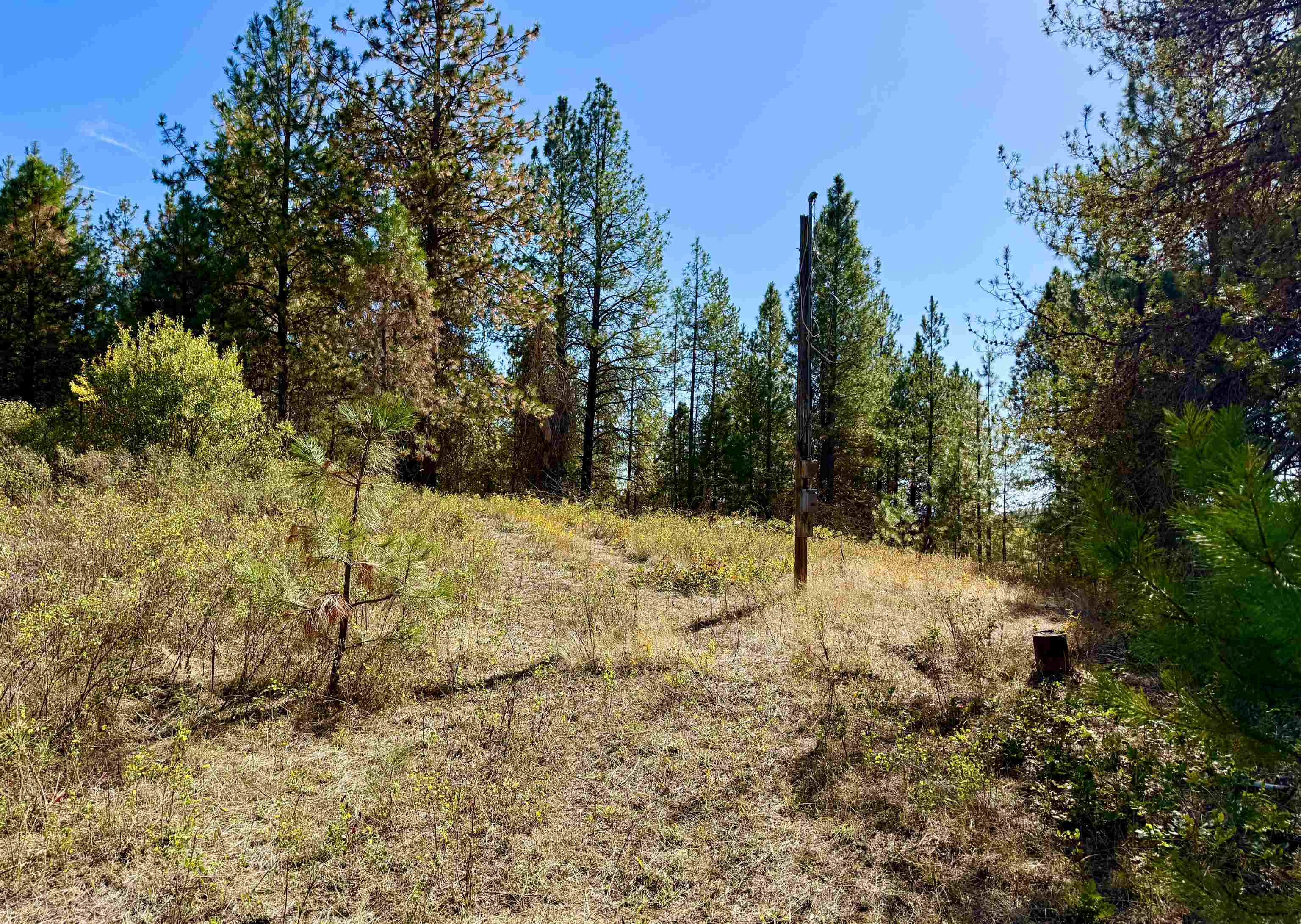 3961 Highway 231 Springdale, WA 99173 - Photo 37 of 46