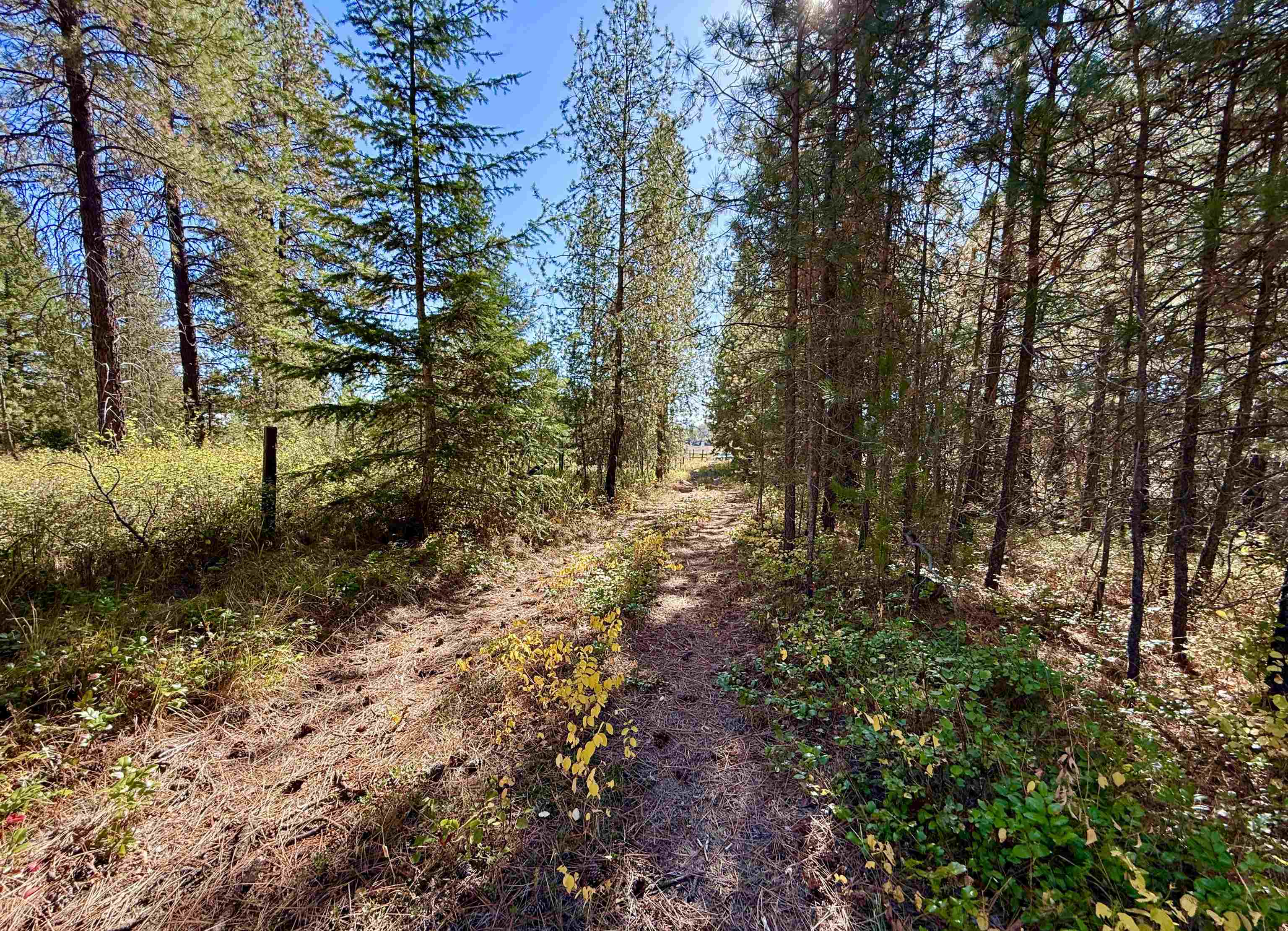 3961 Highway 231 Springdale, WA 99173 - Photo 42 of 46