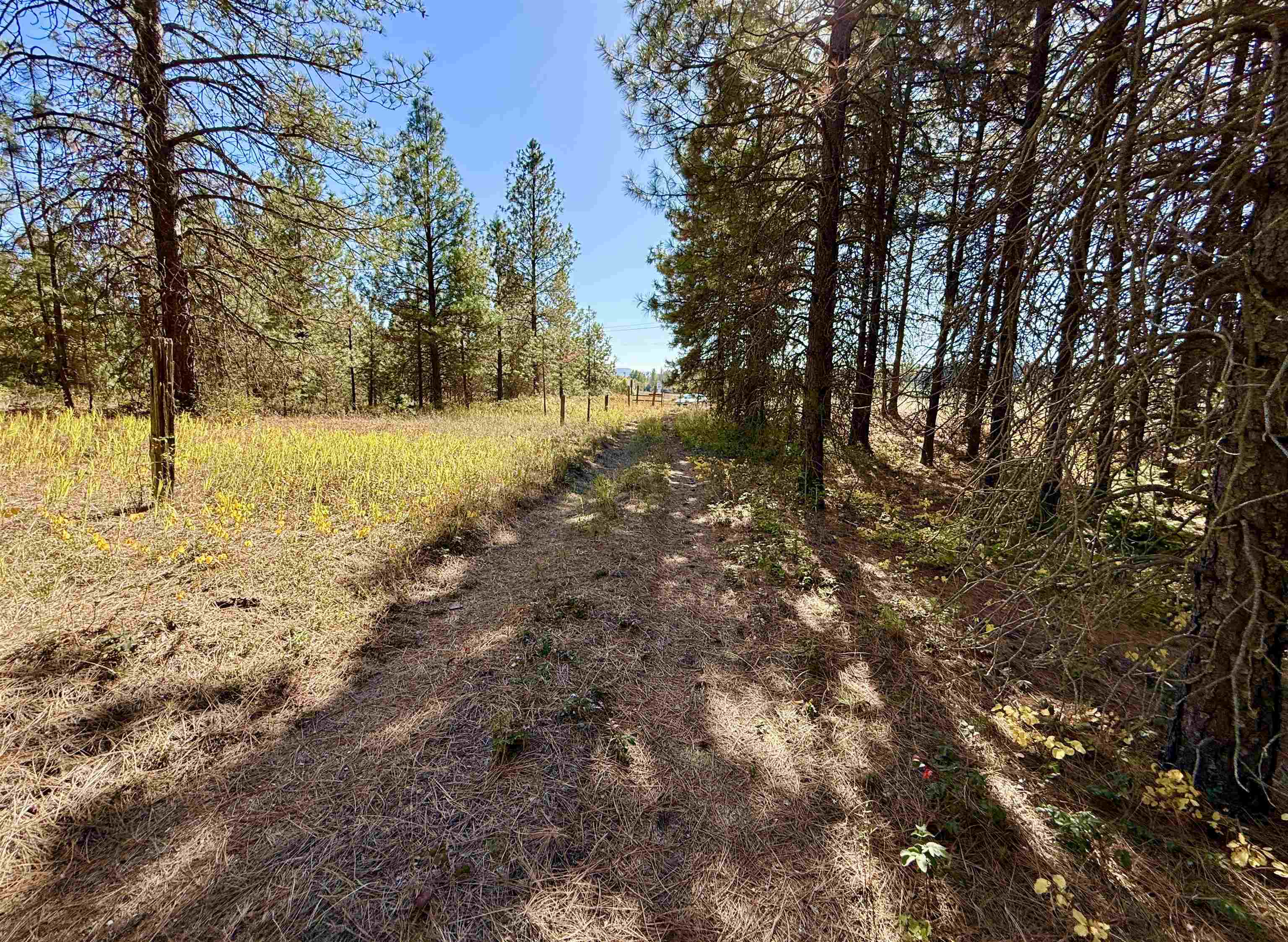 3961 Highway 231 Springdale, WA 99173 - Photo 43 of 46