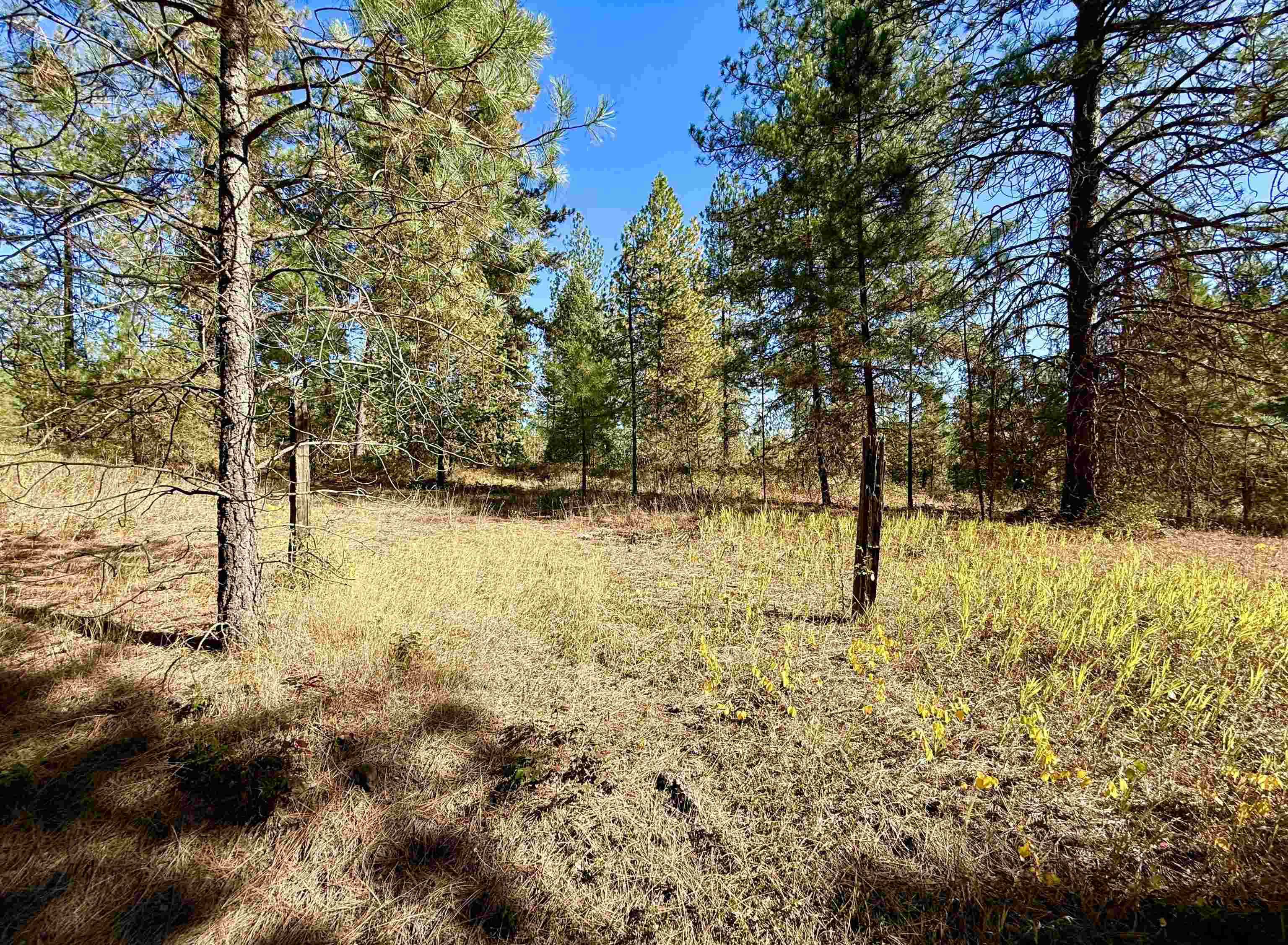 3961 Highway 231 Springdale, WA 99173 - Photo 44 of 46