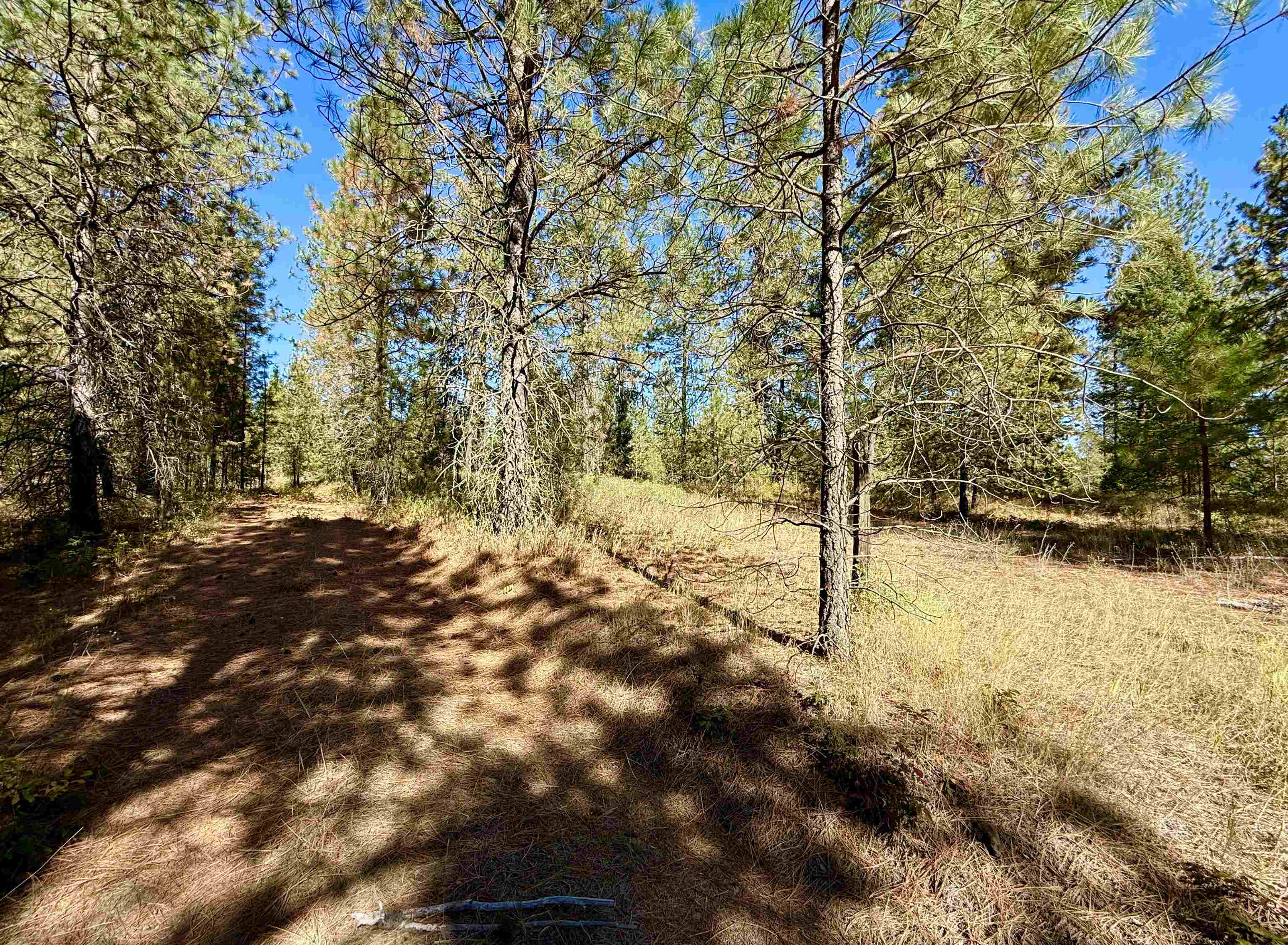 3961 Highway 231 Springdale, WA 99173 - Photo 45 of 46