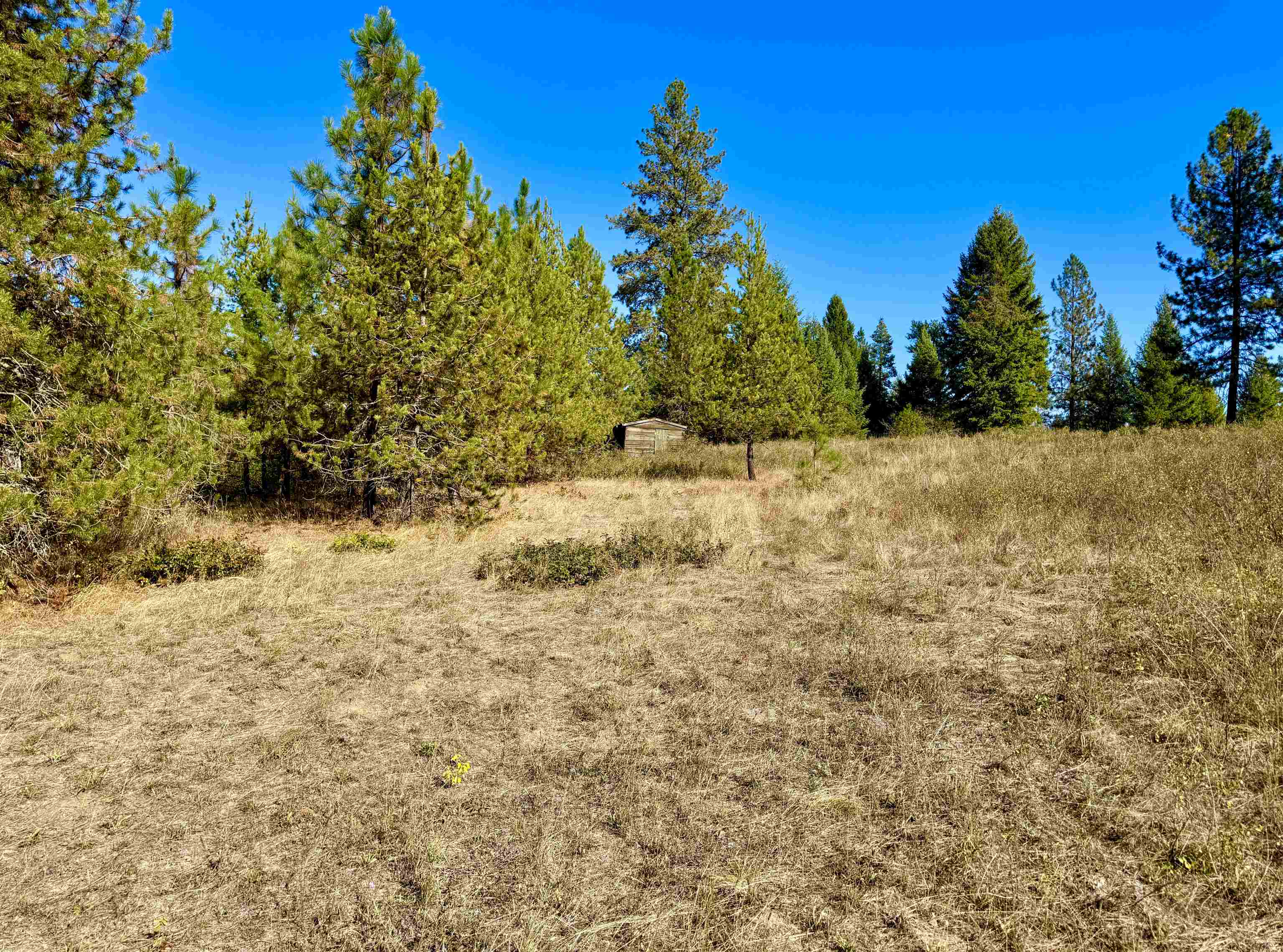 3961 Highway 231 Springdale, WA 99173 - Photo 5 of 46