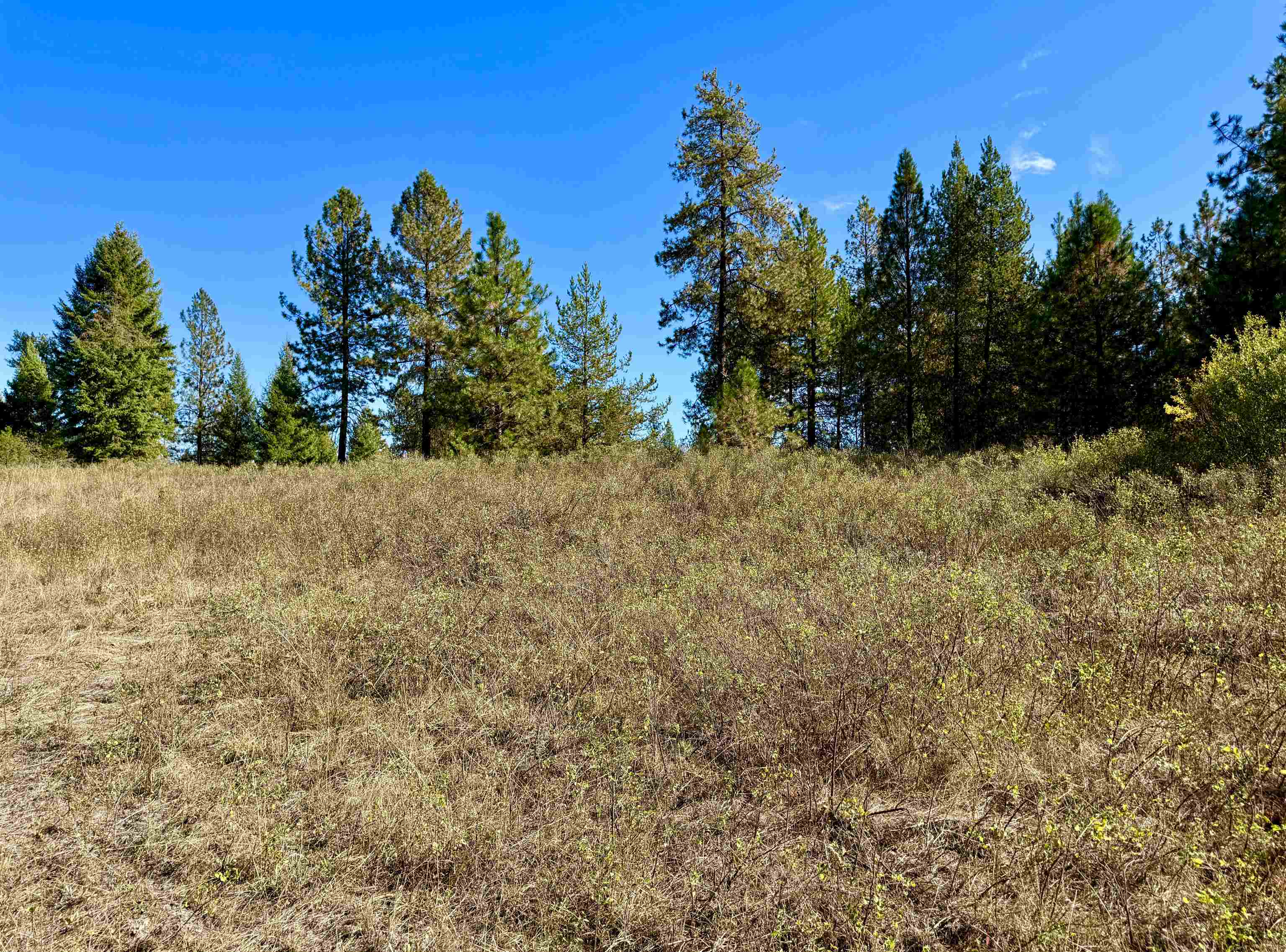 3961 Highway 231 Springdale, WA 99173 - Photo 6 of 46