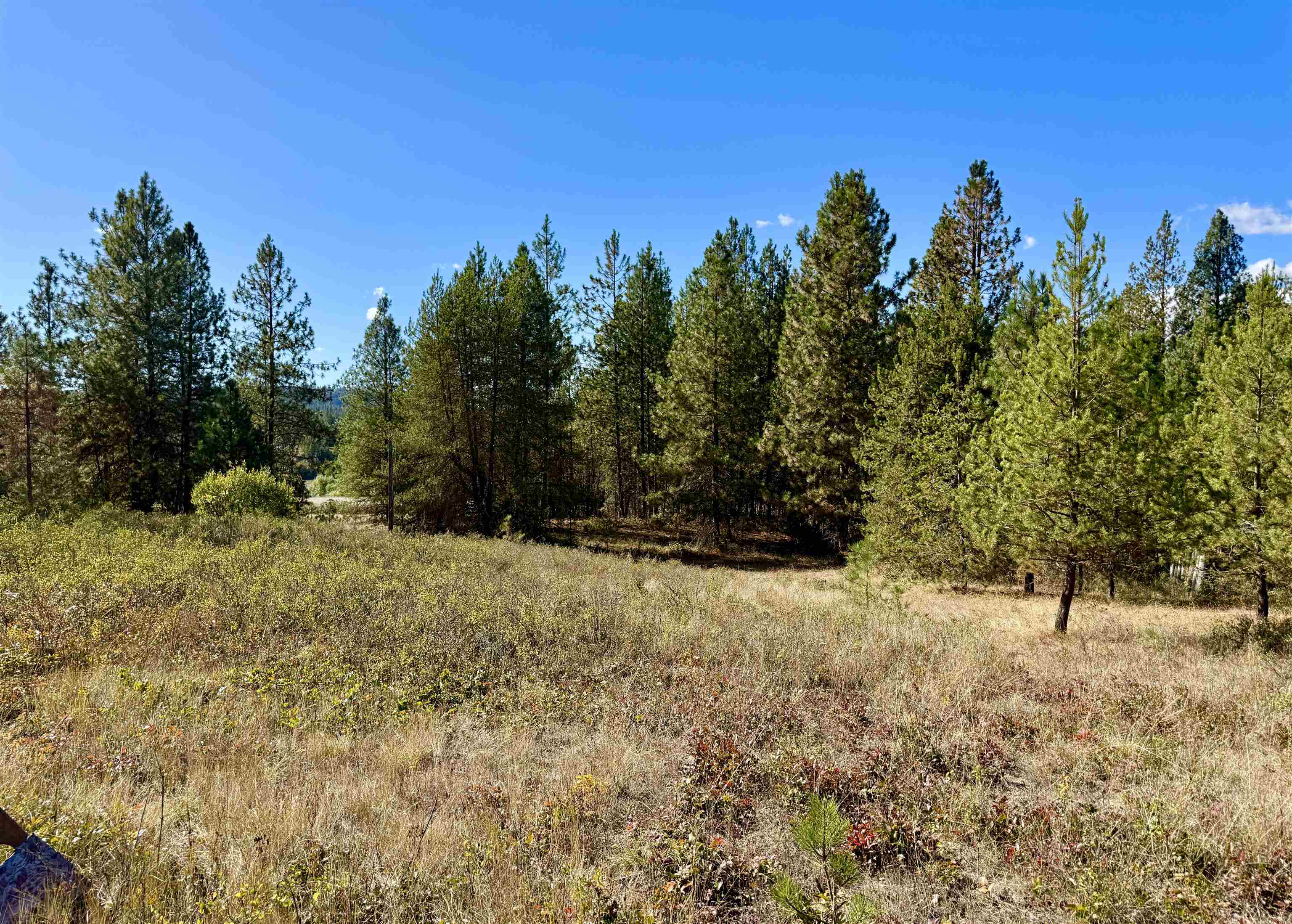 3961 Highway 231 Springdale, WA 99173 - Photo 7 of 46