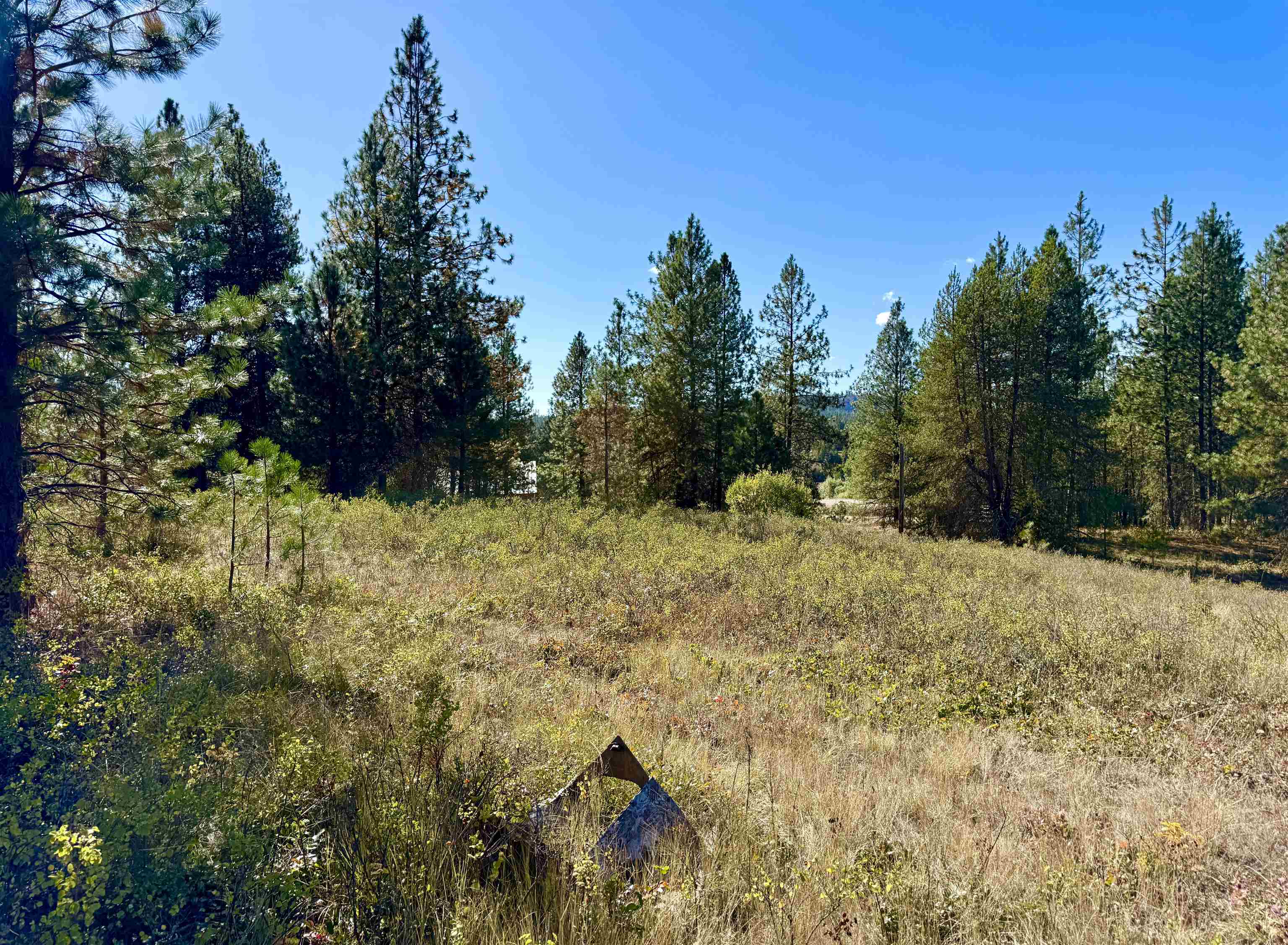 3961 Highway 231 Springdale, WA 99173 - Photo 9 of 46