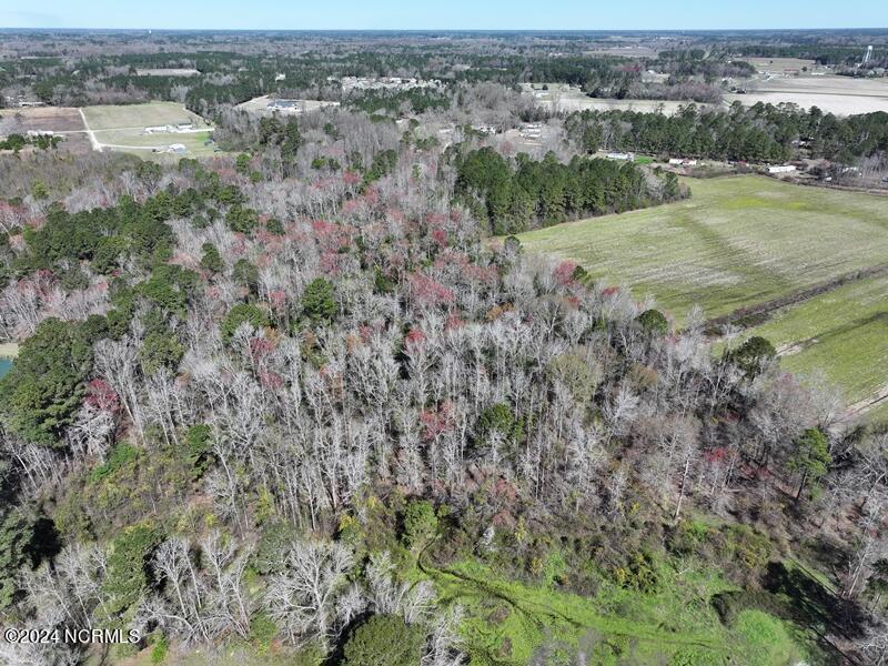 Tbd Antioch Road Lumberton, NC 28358 - Photo 4 of 9 DJI_20240312120000_0109_D