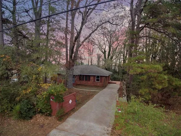 a view of a yard with plants and a bench