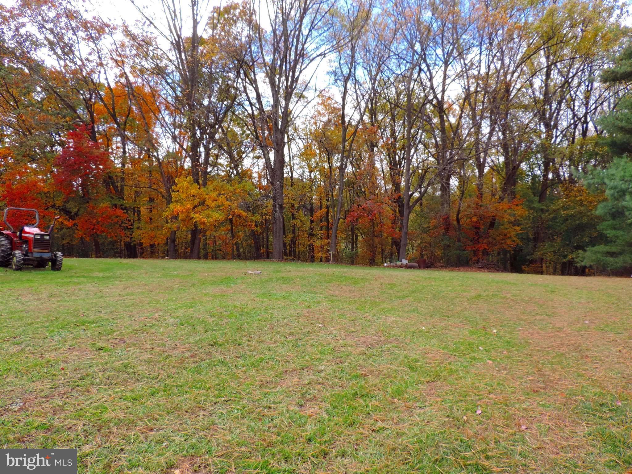 2310 Baldwin Mill Road Fallston, MD 21047 - Photo 5 of 28 Rear yard looking into the tree line