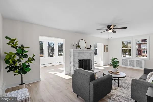 a living room with furniture potted plant and a fireplace