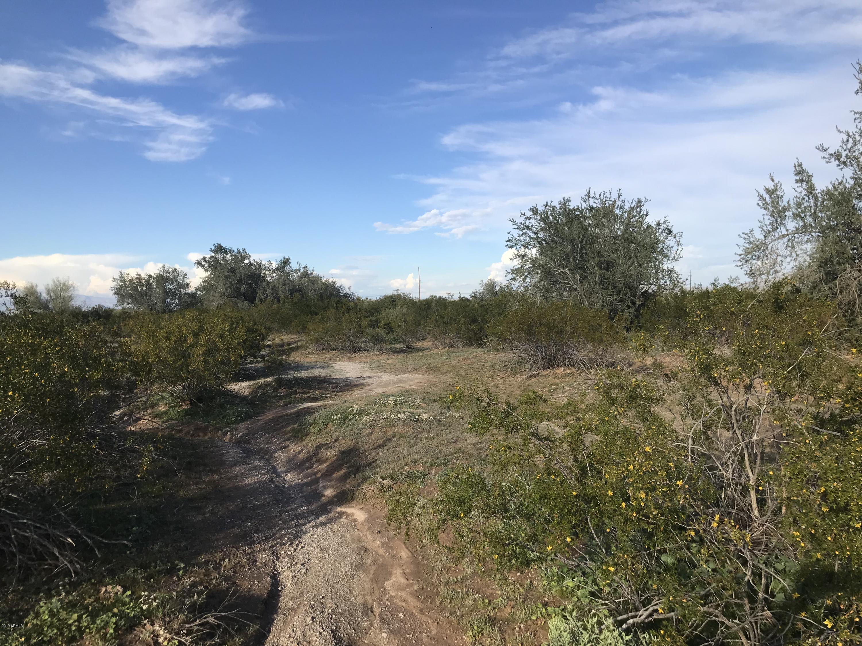 -193 Ave Riggs Road Buckeye, AZ 85326 - Photo 16 of 23 IMG_1803