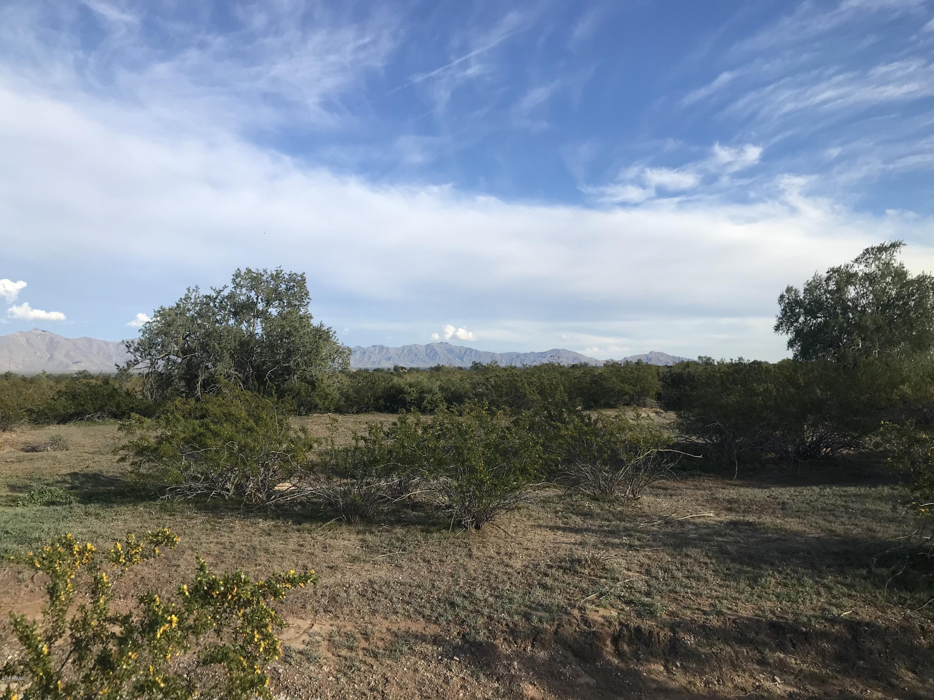 -193 Ave Riggs Road Buckeye, AZ 85326 - Photo 3 of 23 IMG_1808