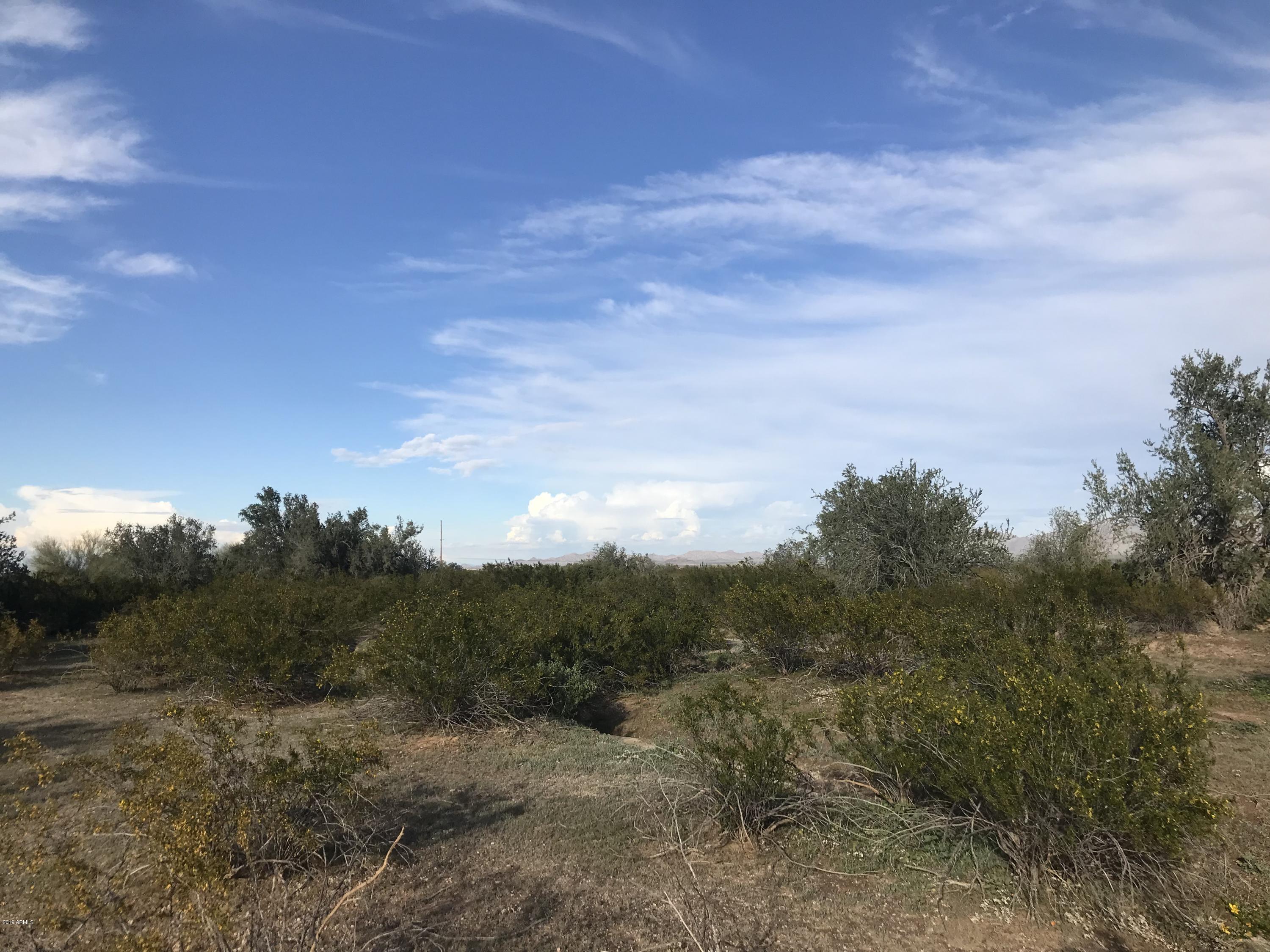 -193 Ave Riggs Road Buckeye, AZ 85326 - Photo 5 of 23 IMG_1810