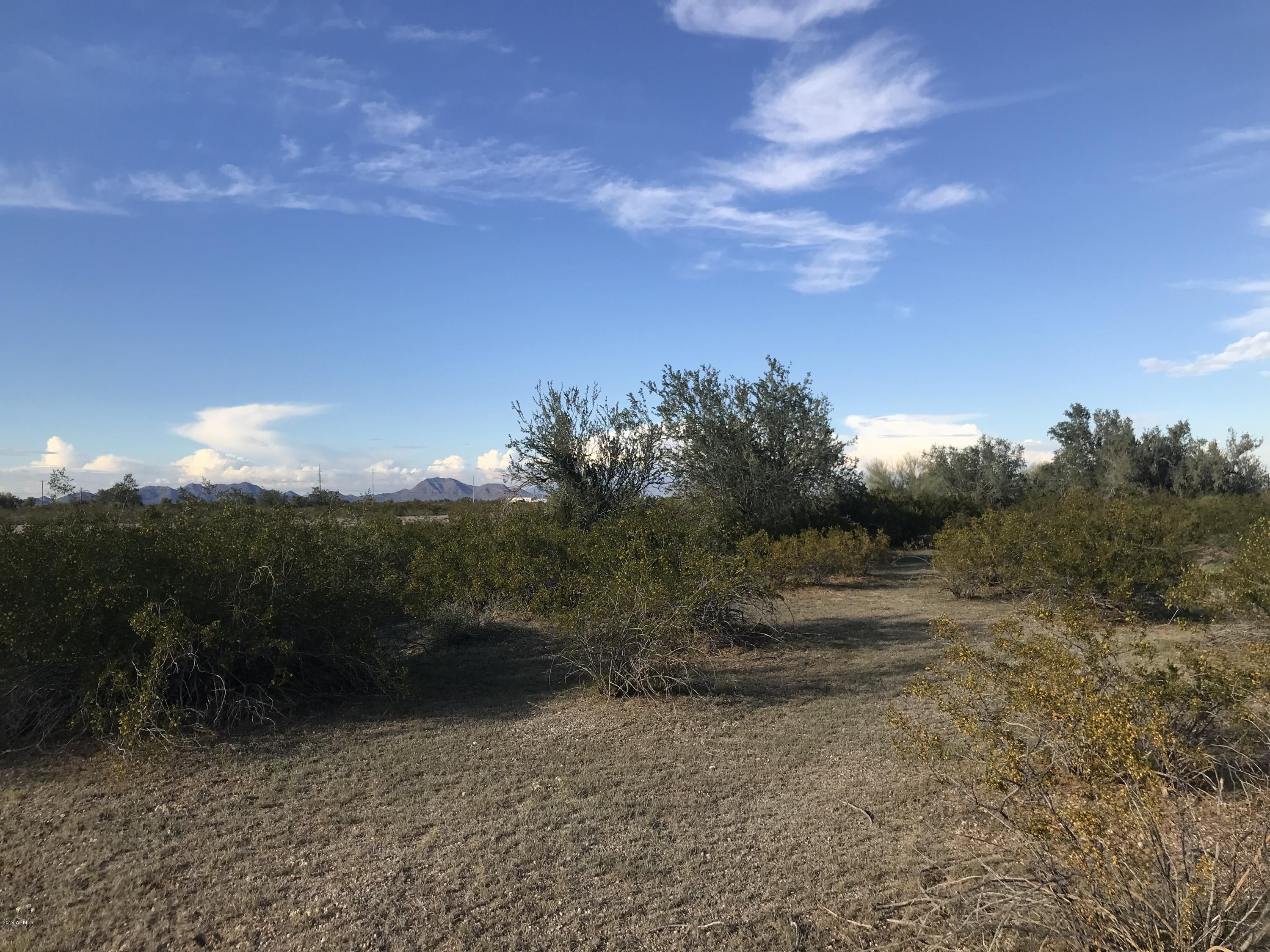 -193 Ave Riggs Road Buckeye, AZ 85326 - Photo 6 of 23 IMG_1811