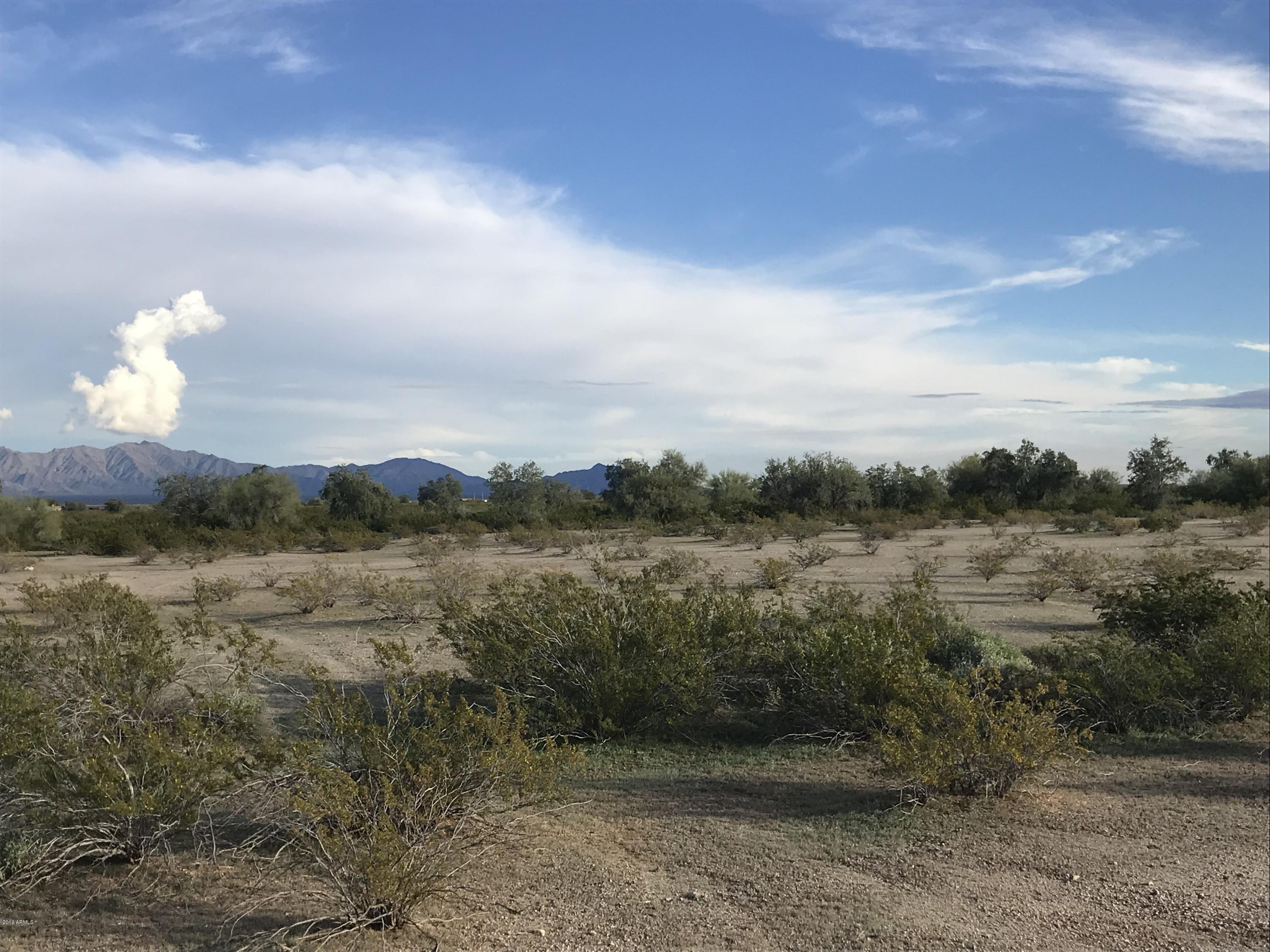 -193 Ave Riggs Road Buckeye, AZ 85326 - Photo 10 of 23 IMG_1815