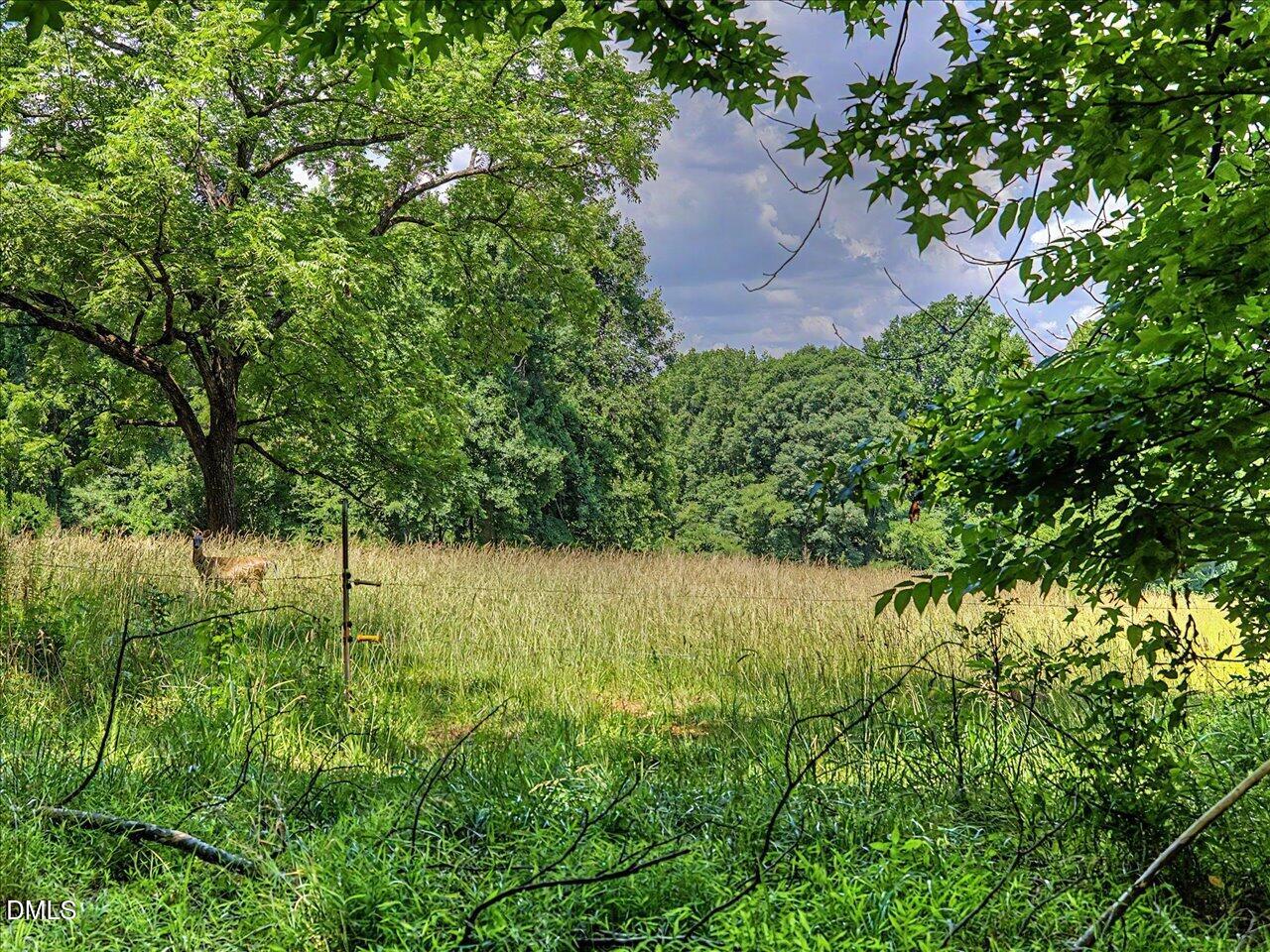 477 Jay Shambley Road Pittsboro, NC 27312 - Photo 17 of 28