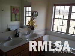 604 Park Trail Road Mackinaw, IL 61755 - Photo 14 of 18