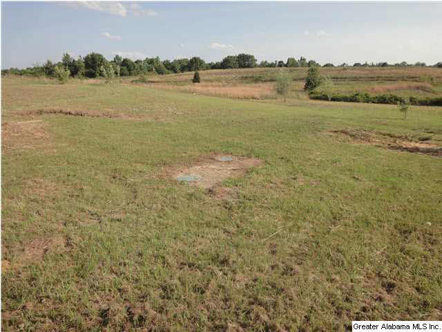 21014 Max Vintson Road Northport, AL 35475 - Photo 2 of 6
