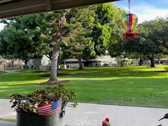 a view of a back yard
