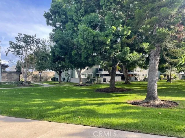 a view of a park with large trees