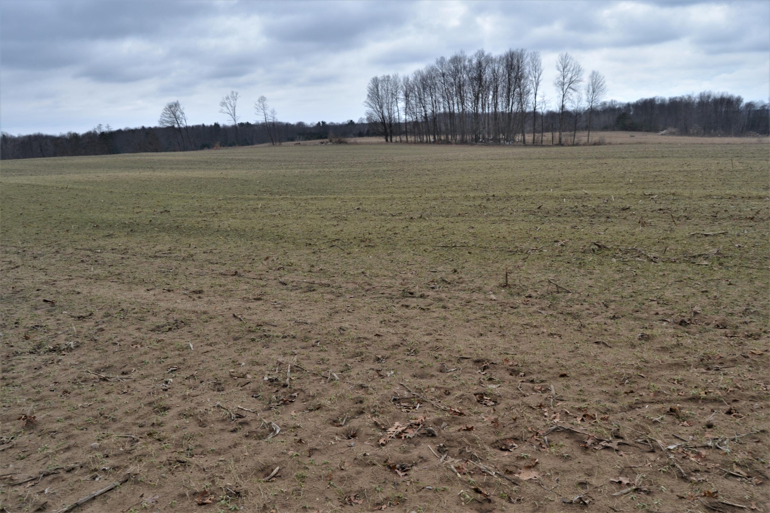 3 Mile Road Morley, MI 49336 - Photo 3 of 10 DSC_1128