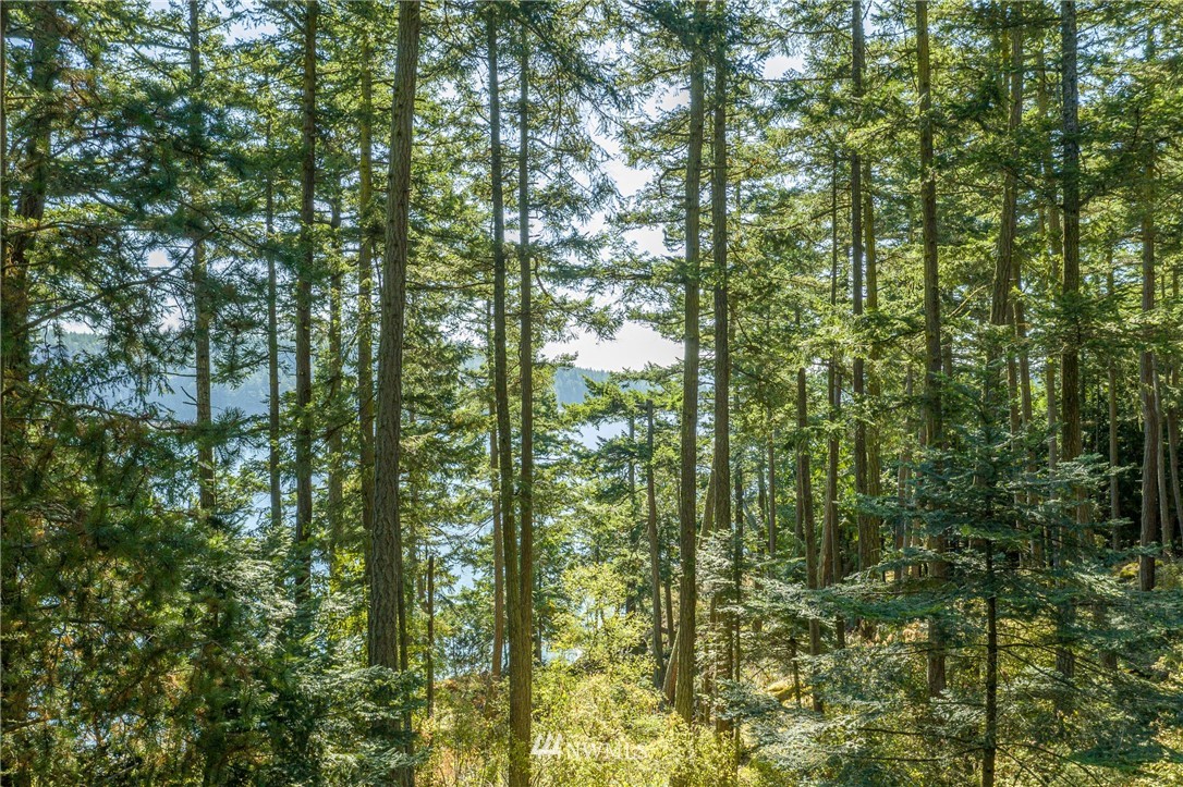 0 Anchorage Road Lopez Island, WA 98261 - Photo 2 of 5