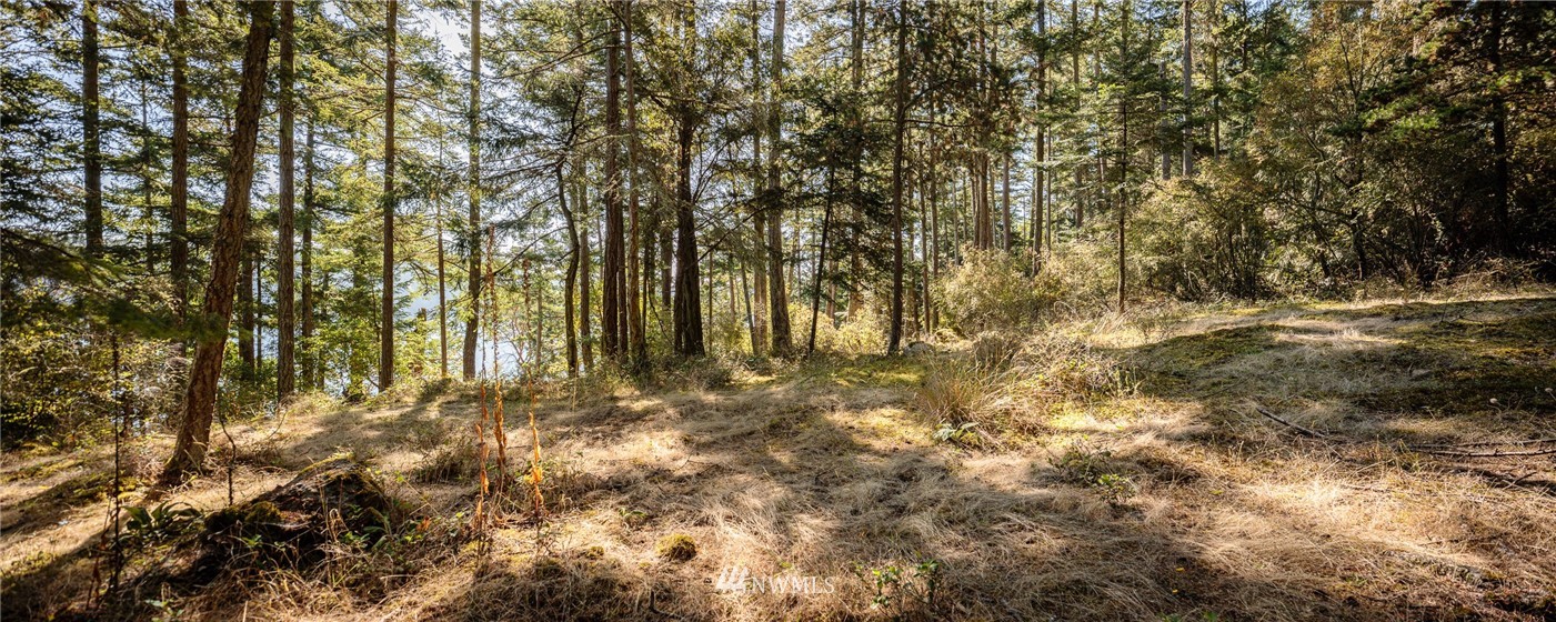 0 Anchorage Road Lopez Island, WA 98261 - Photo 4 of 5