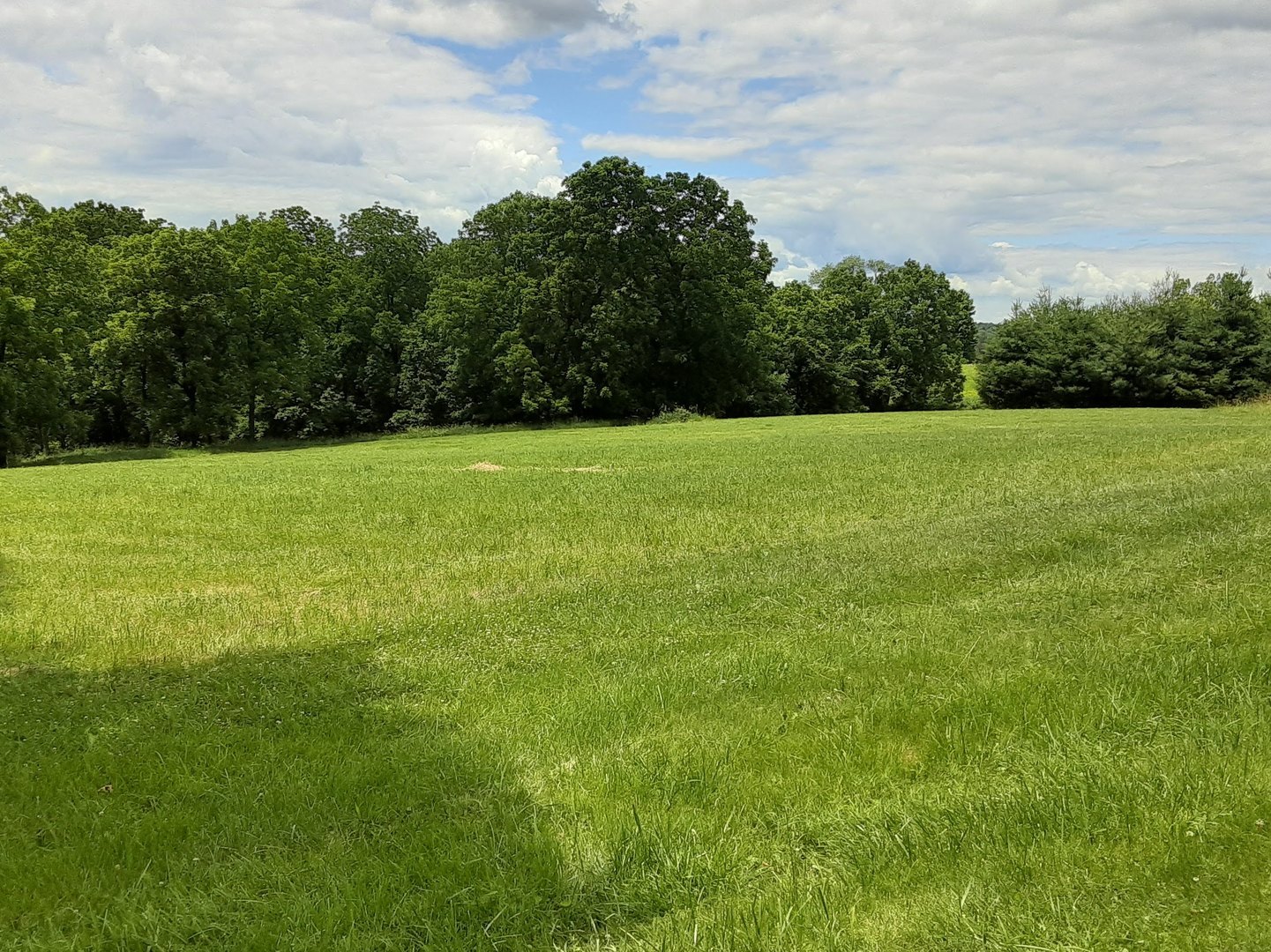 Lot 5 Meyers Road Mount Carroll, IL 61053 - Photo 11 of 49 Gallery Image 11
