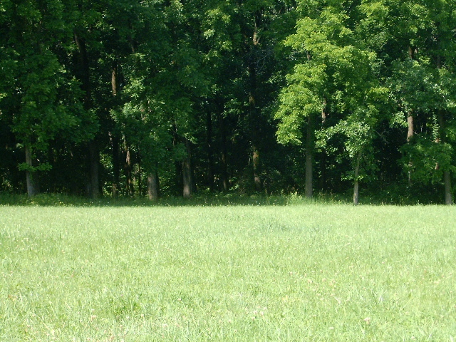 Lot 5 Meyers Road Mount Carroll, IL 61053 - Photo 12 of 49 Gallery Image 12