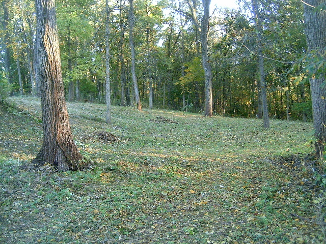 Lot 5 Meyers Road Mount Carroll, IL 61053 - Photo 13 of 49 Gallery Image 13