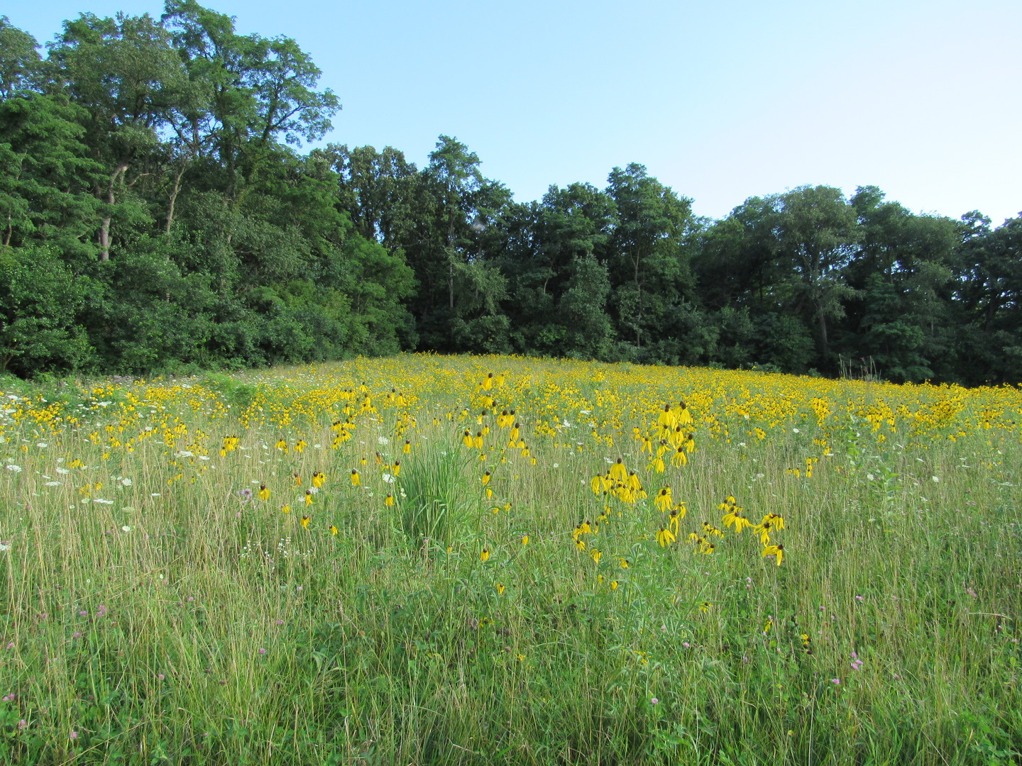 Lot 5 Meyers Road Mount Carroll, IL 61053 - Photo 25 of 49 Gallery Image 25